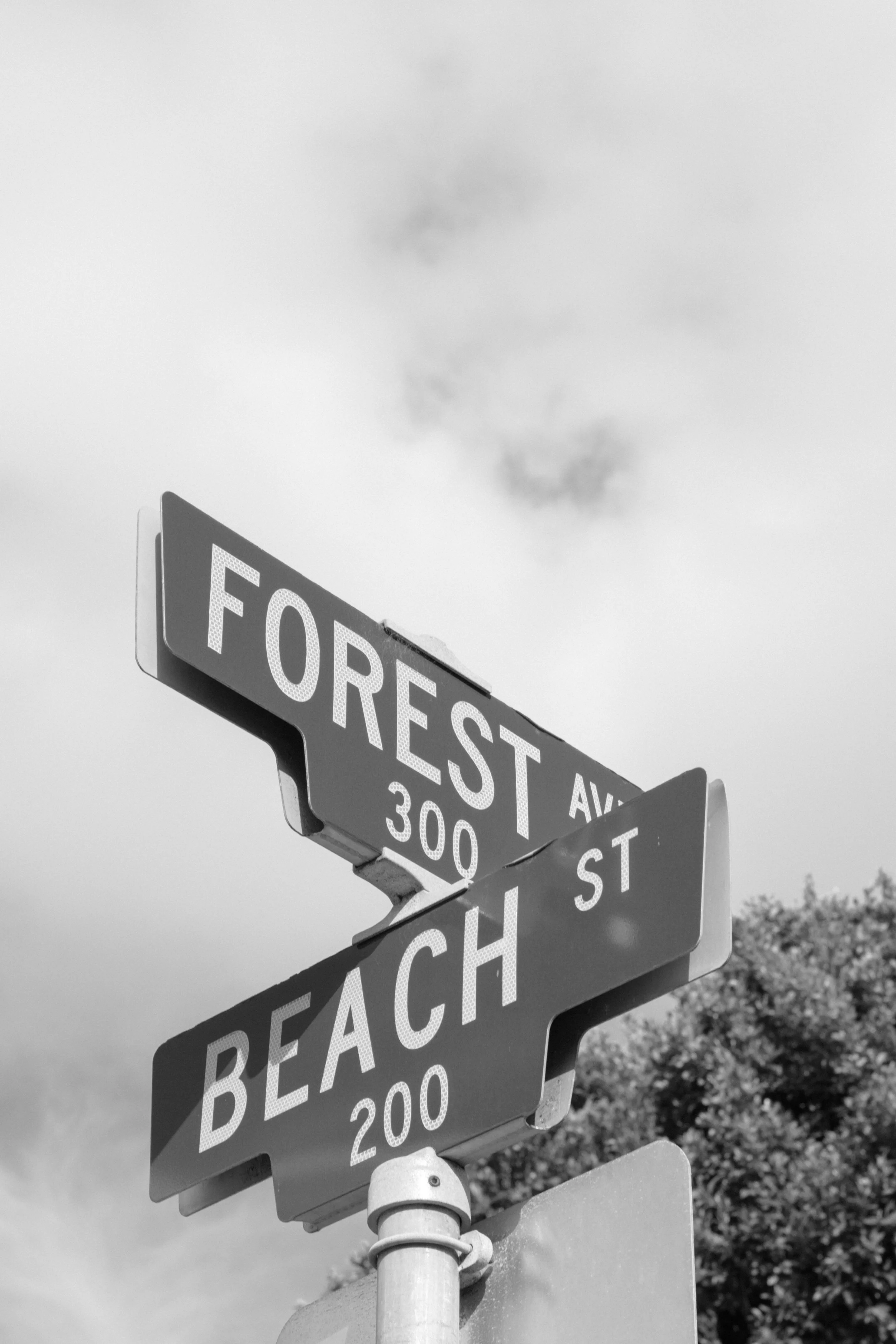 051A4909-2.jpg