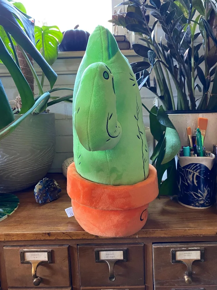Catcus Plush  Alexandra Brodt Illustration