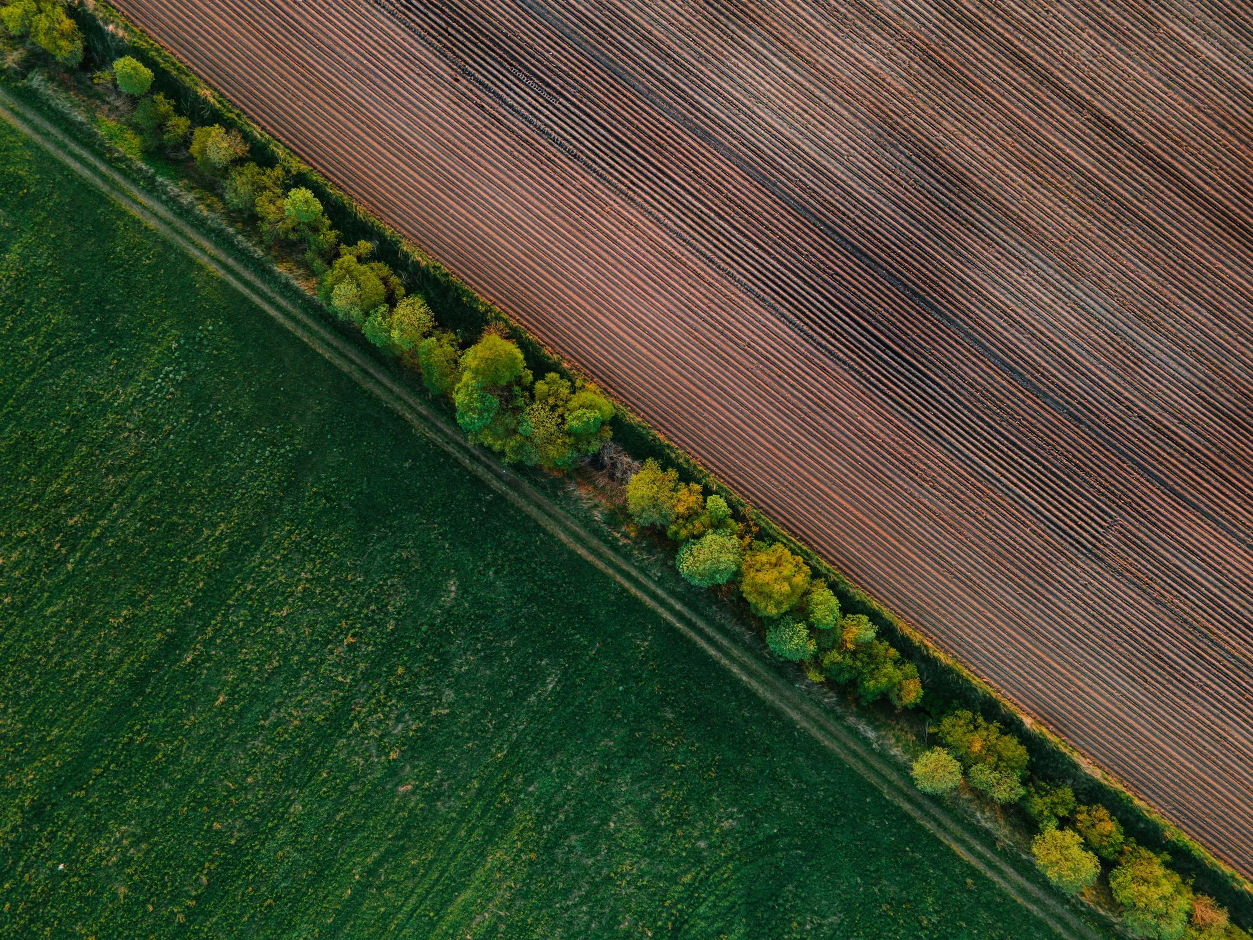 pexels-aleksandr-sochnev-2149104692-30463266.jpg