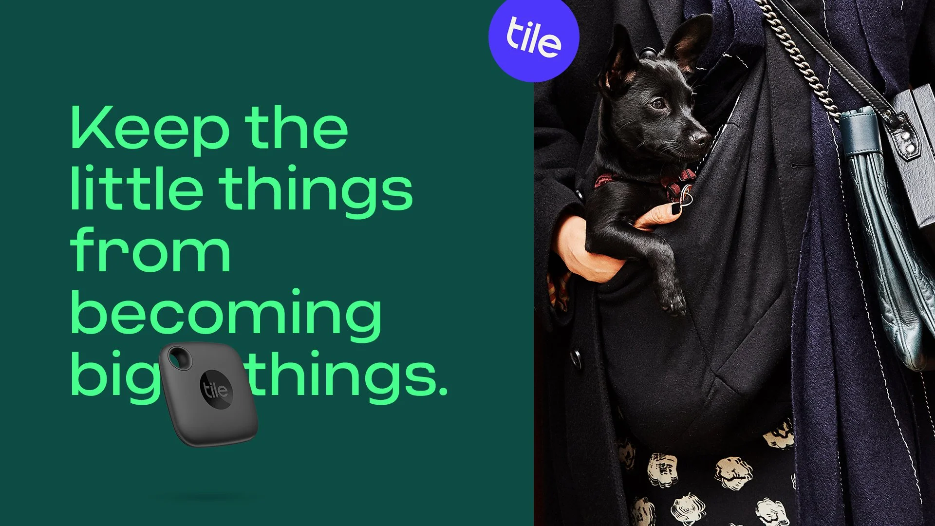 BigThings.jpg