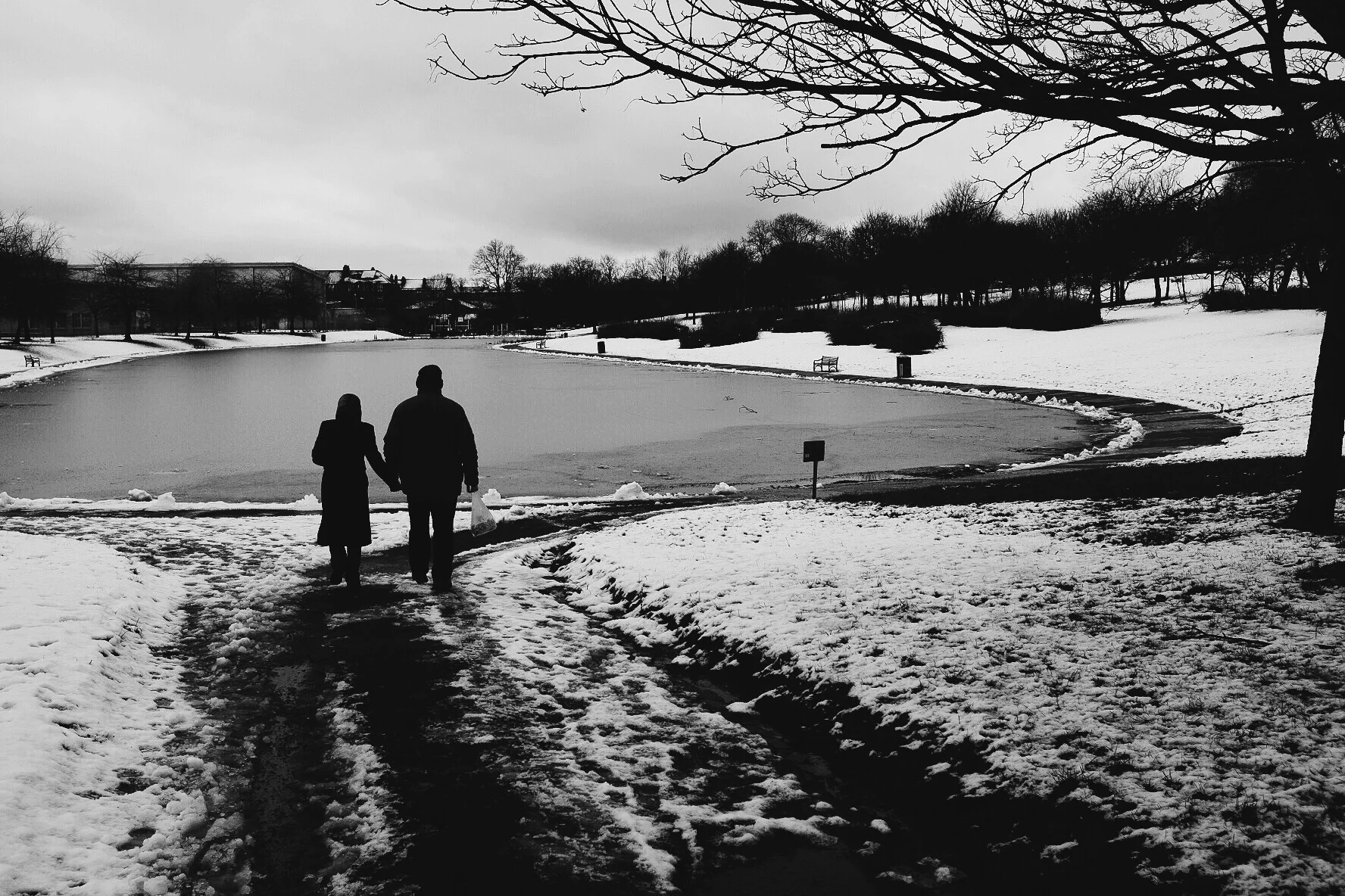 365 Days in Phots // Week 4