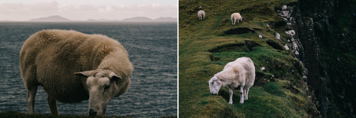 Skye 2017_041_WEB.jpg