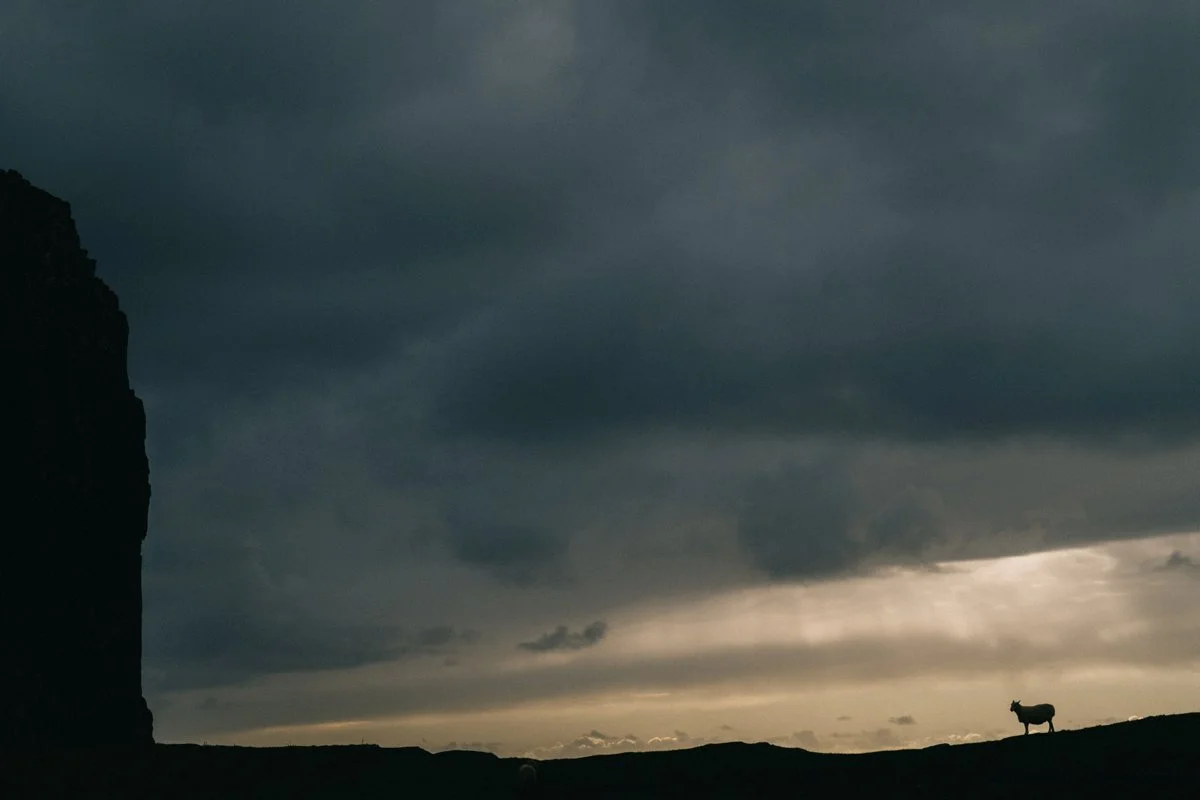Skye 2017_043_WEB.jpg