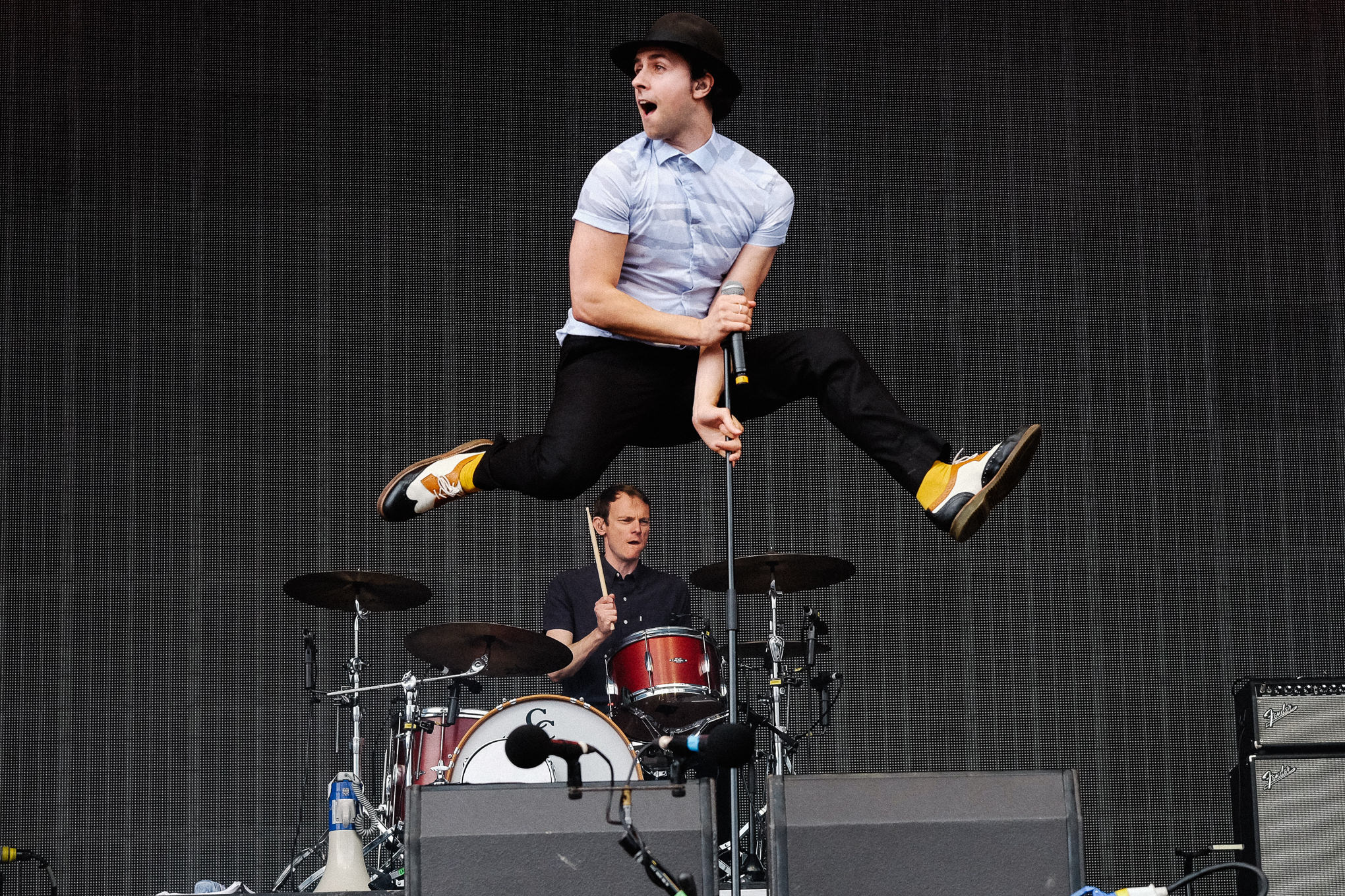 Maximo Park