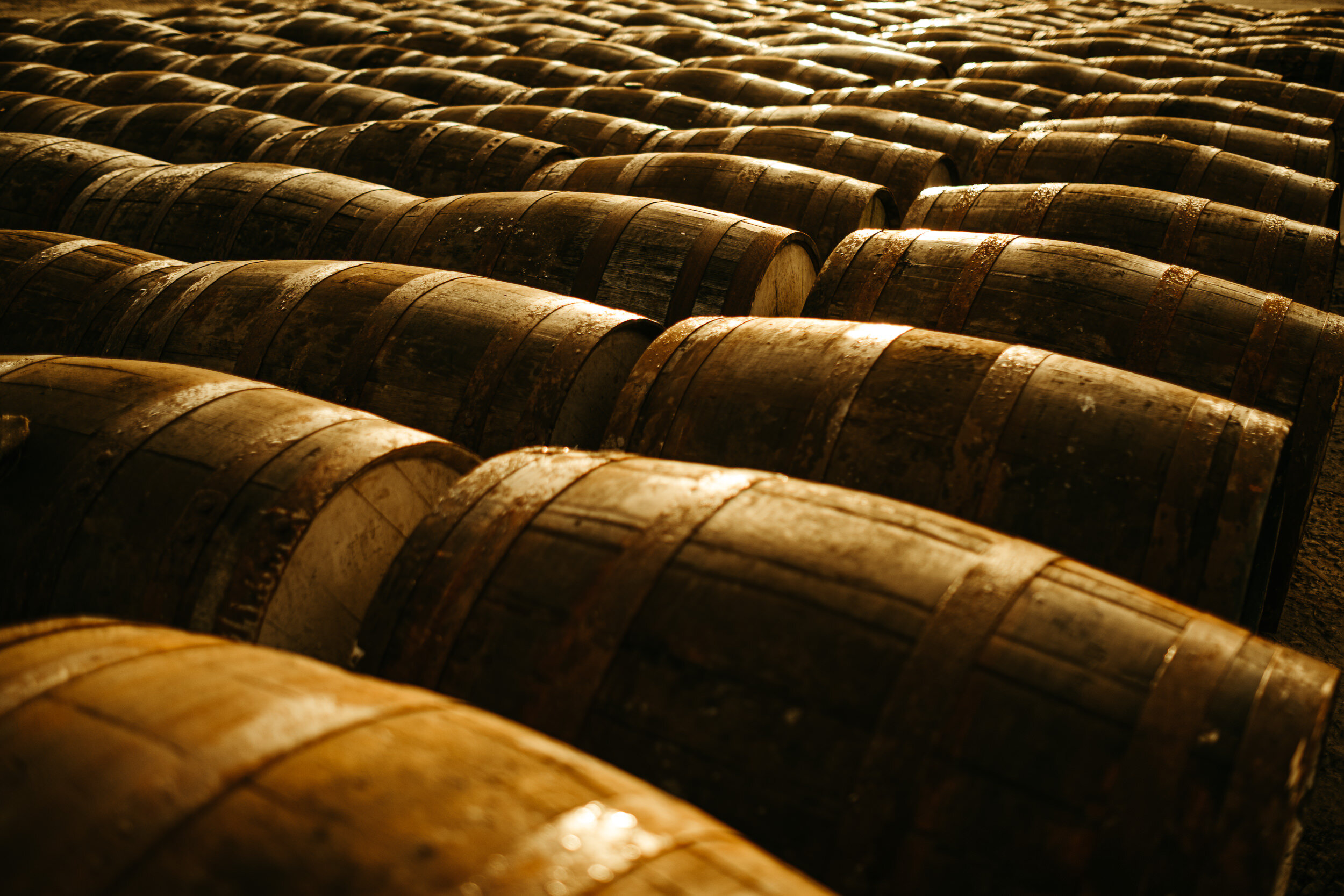 Whisky-Works-Experimentation_012.jpg