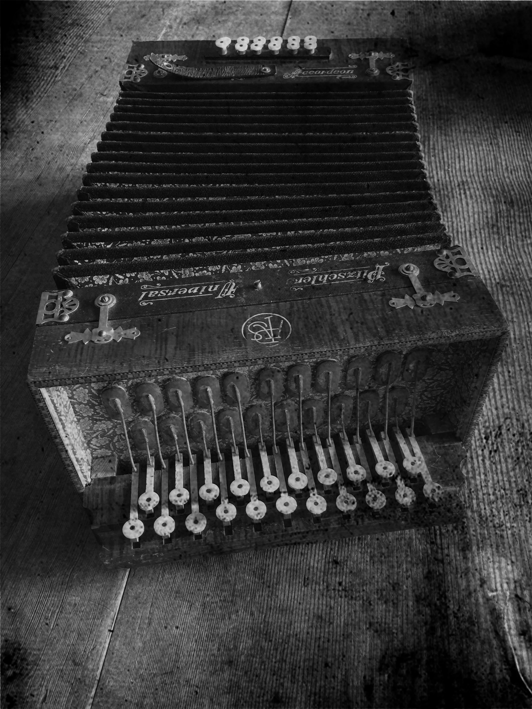 accordianIMG_6947.bw.jpg