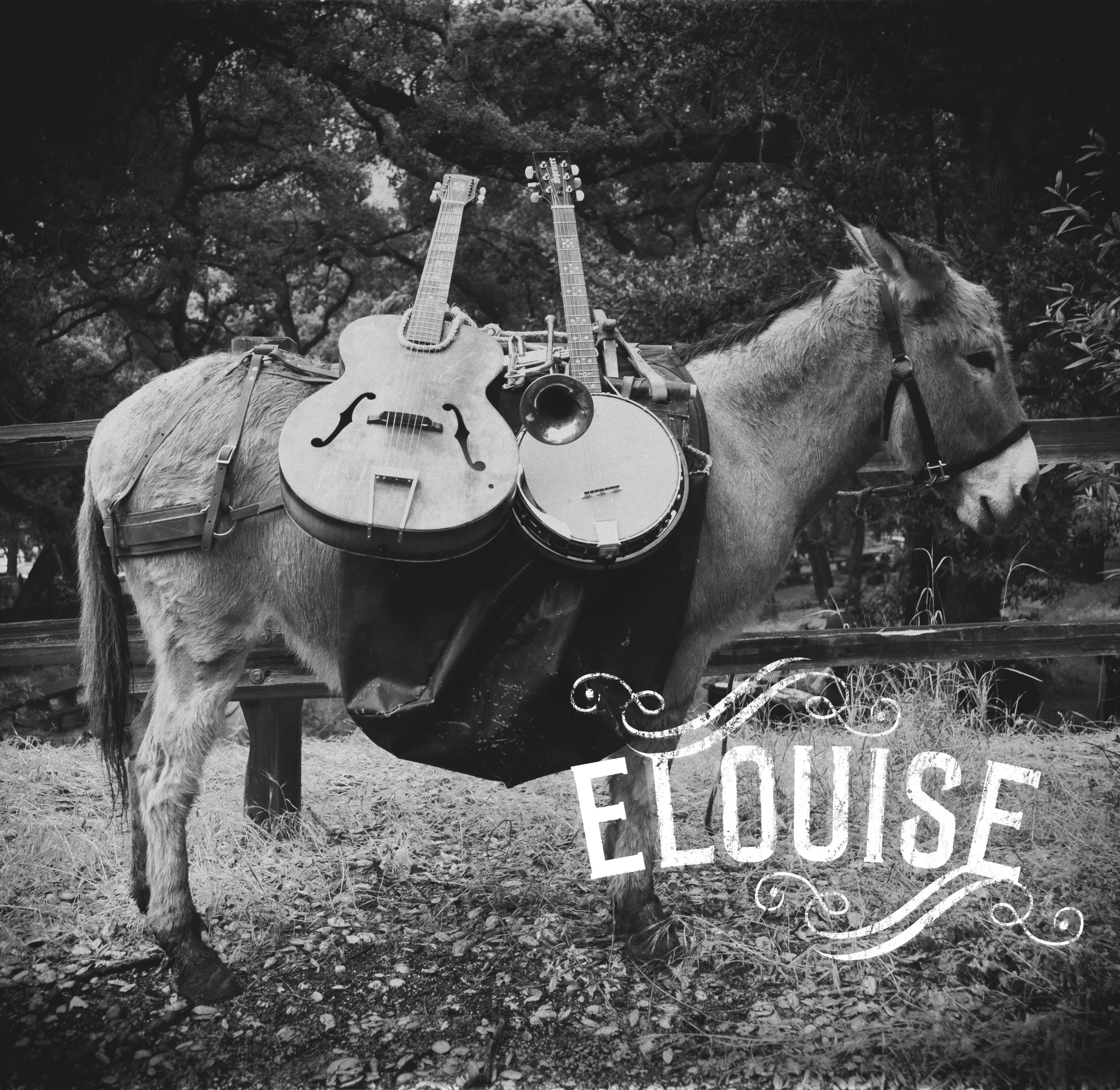 DONKEY SQUARE W ELOUISE SM.LOGO_DSC7457.jpg