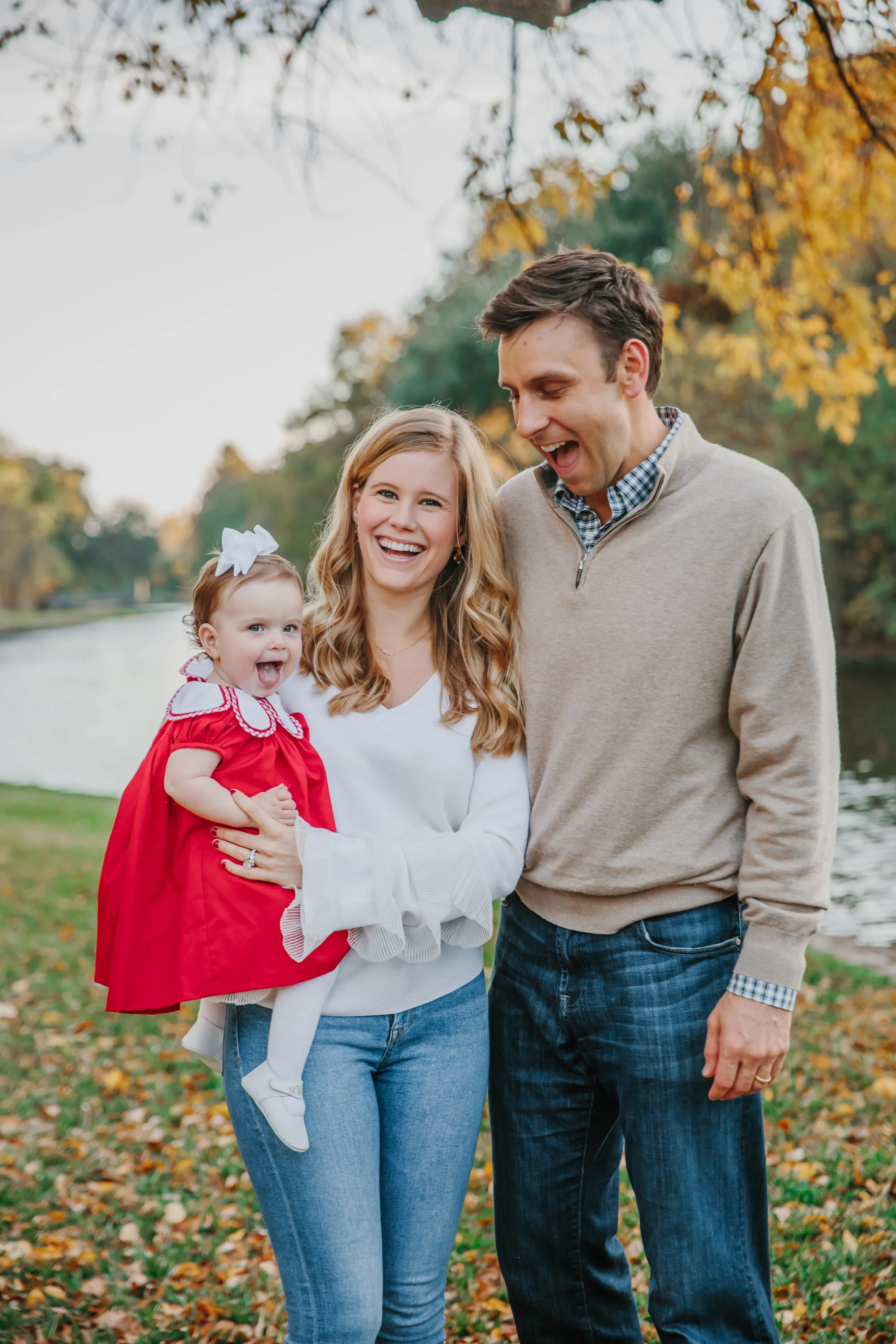 ward family mini