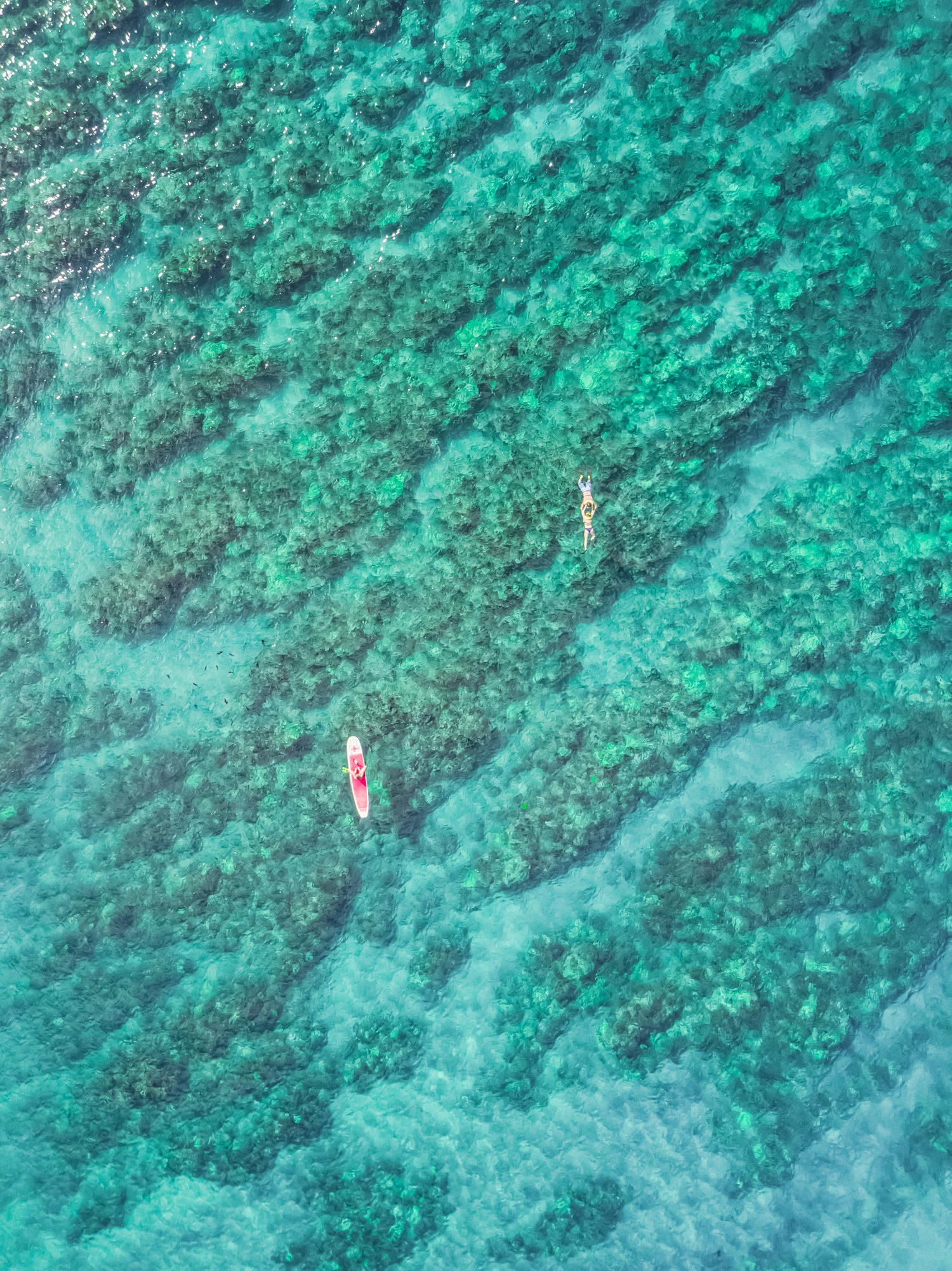 lanai+medium+(1+of+1).jpg