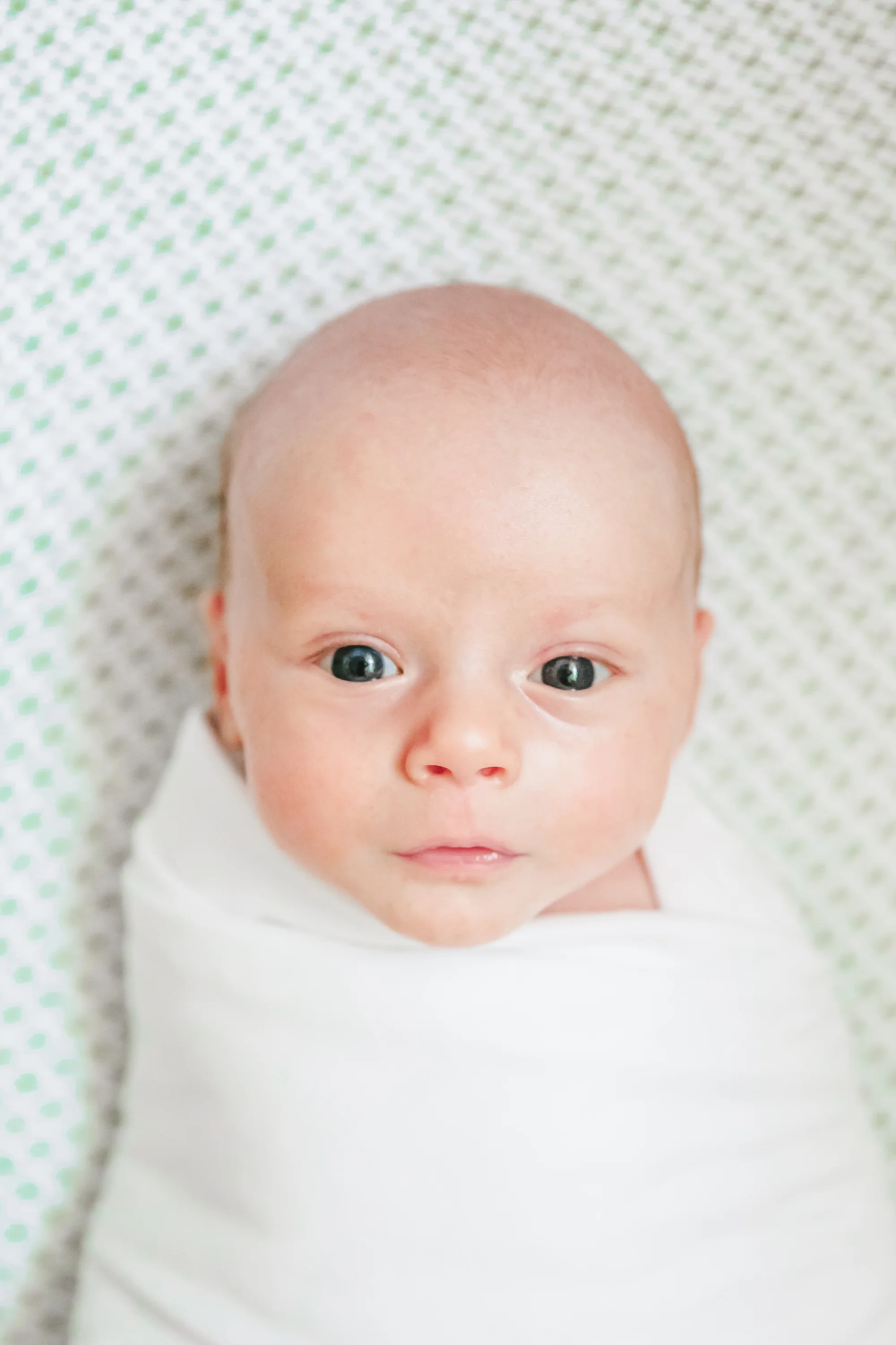 andrew mcway newborn