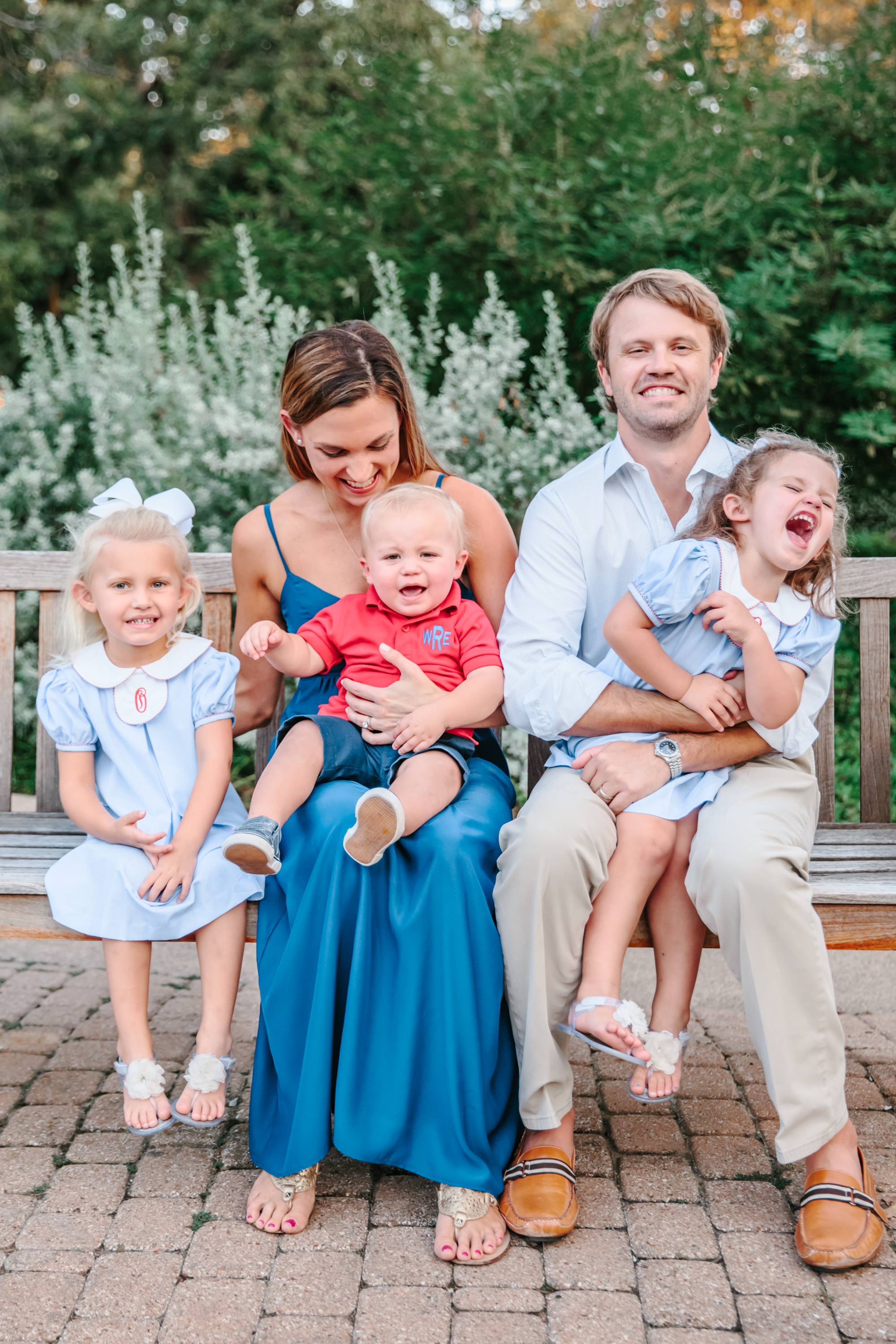 the rose family