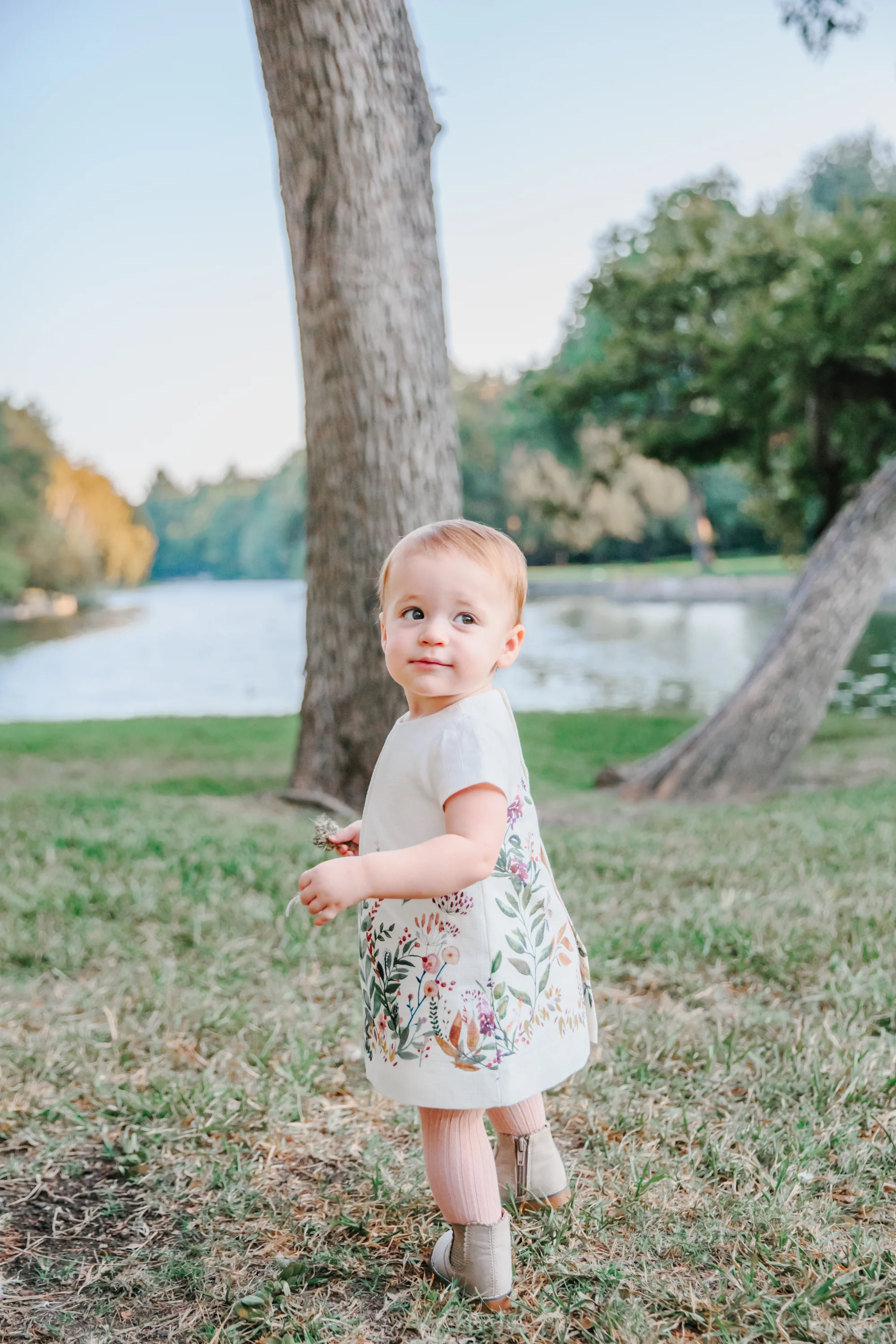 madison mcdonald holiday mini 