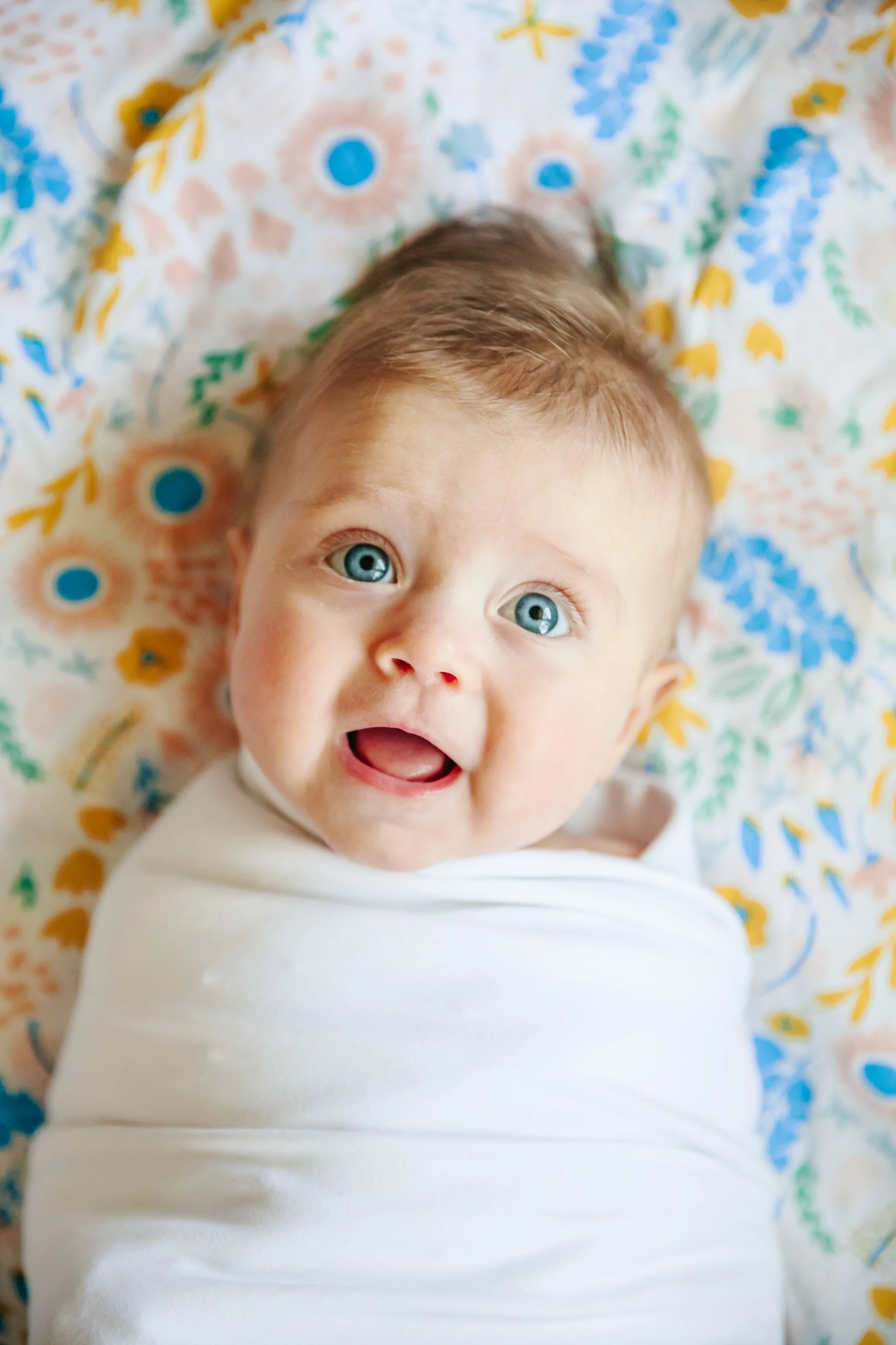 adele hayes newborn