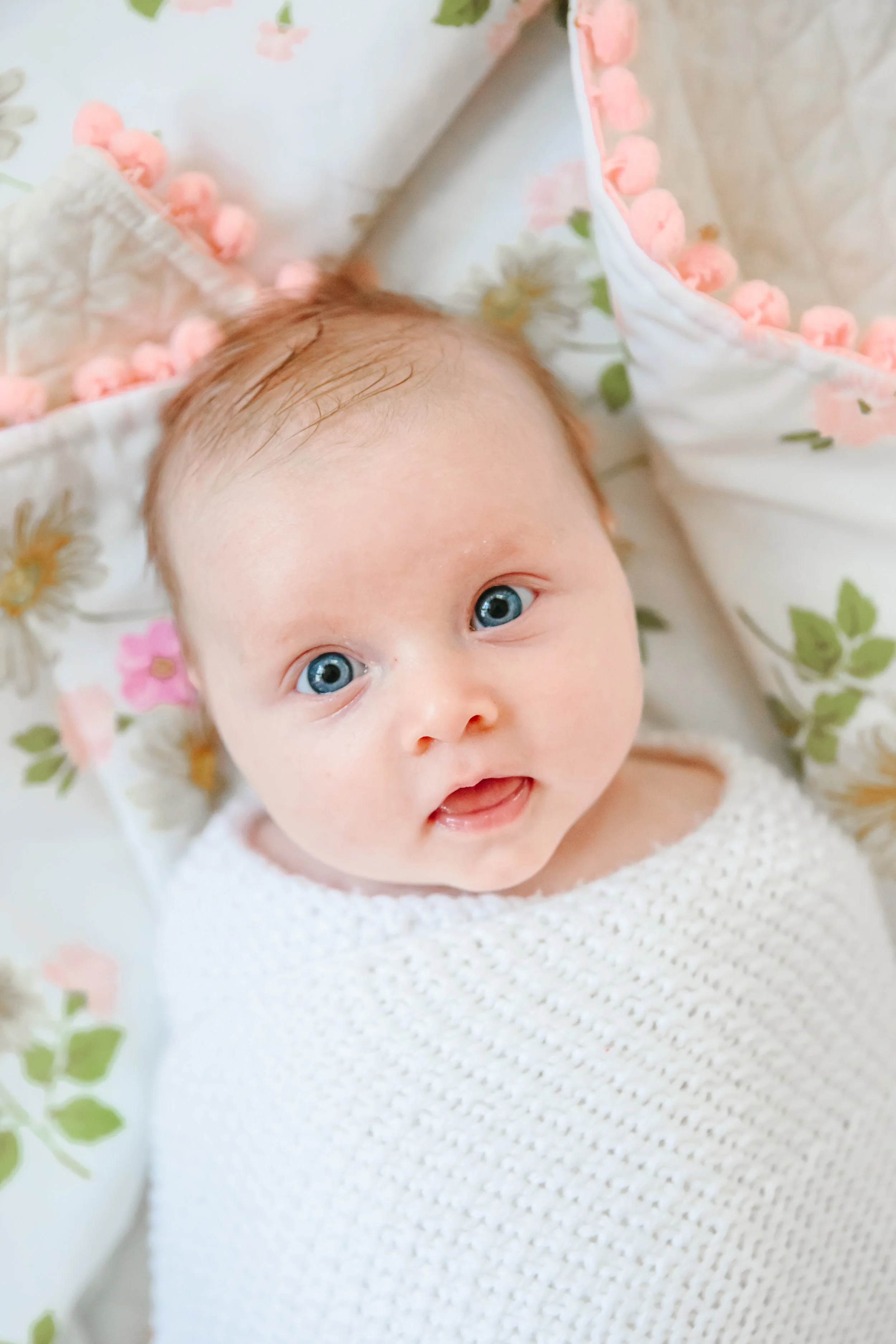 eva phillips newborn mini
