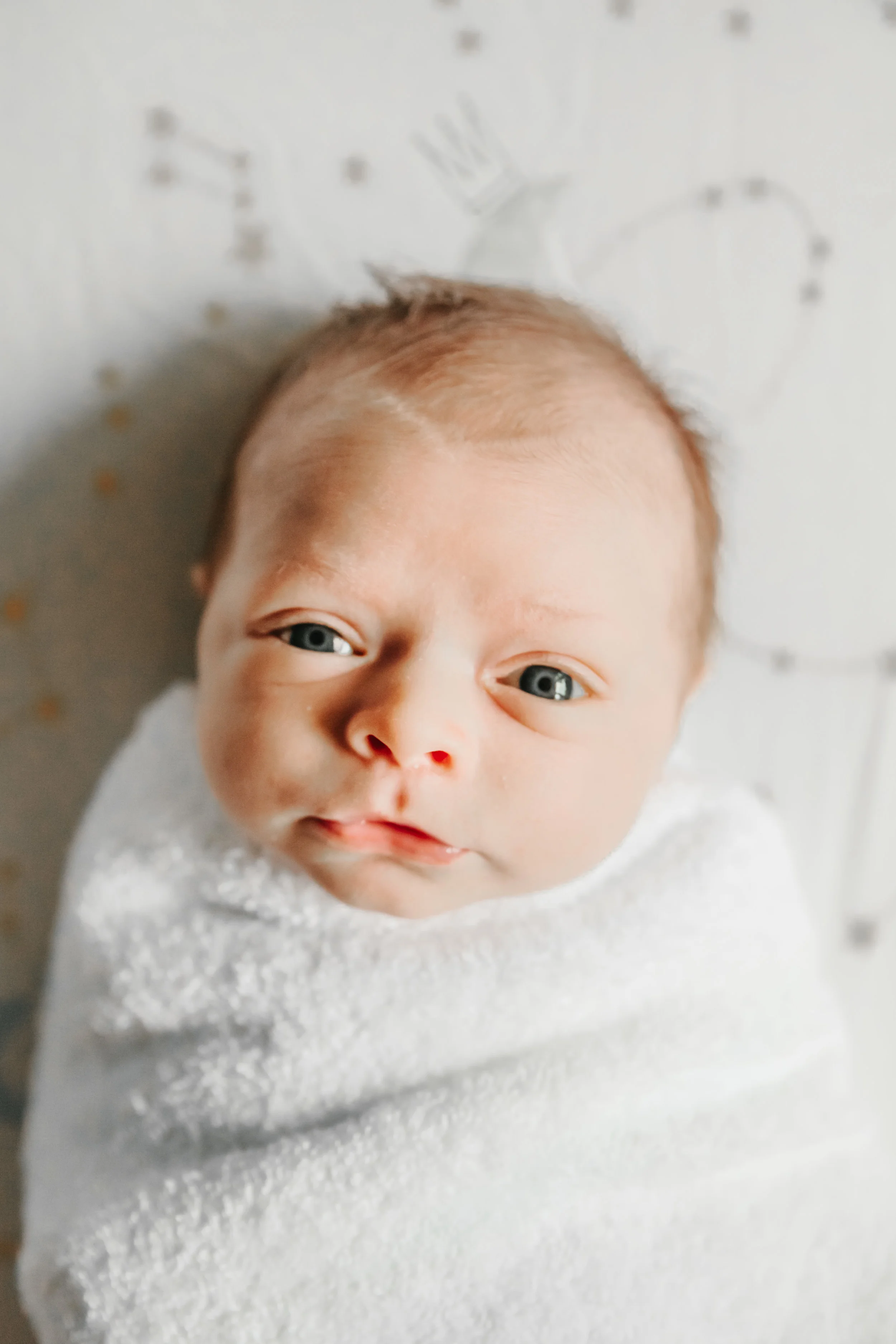 william johnson newborn 