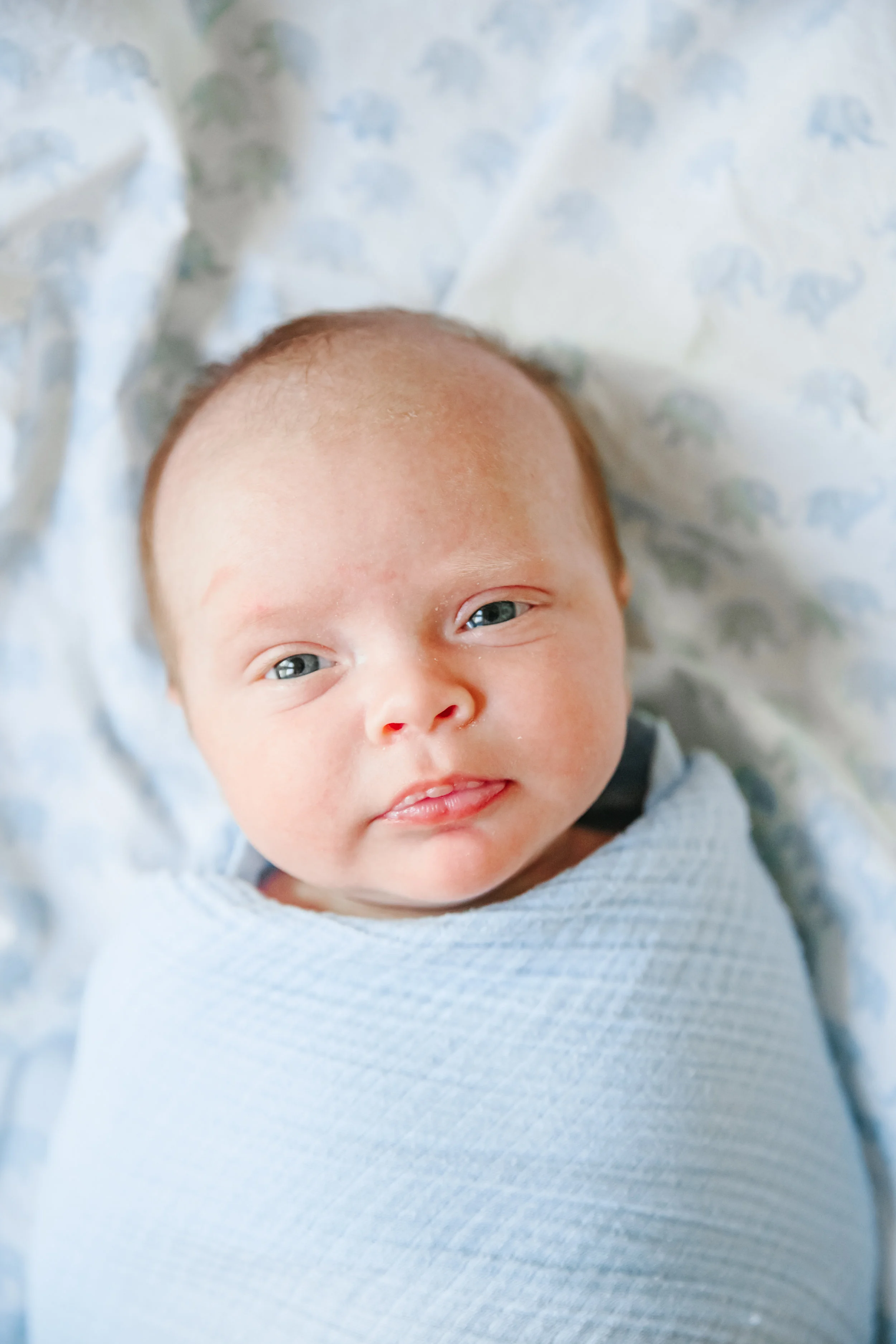 beau leathers newborn