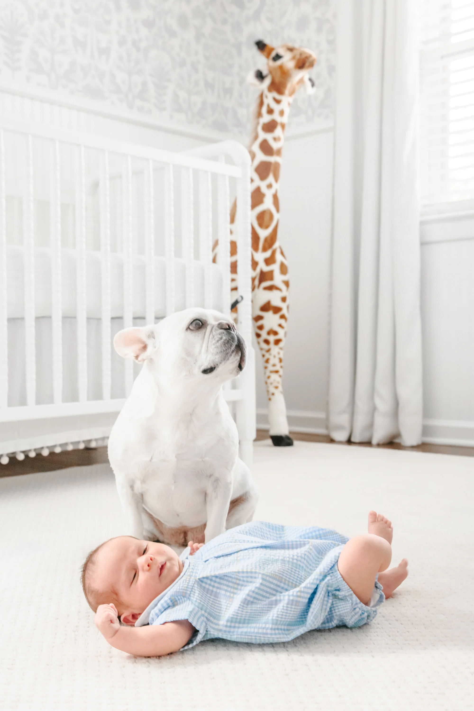 george phillips newborn