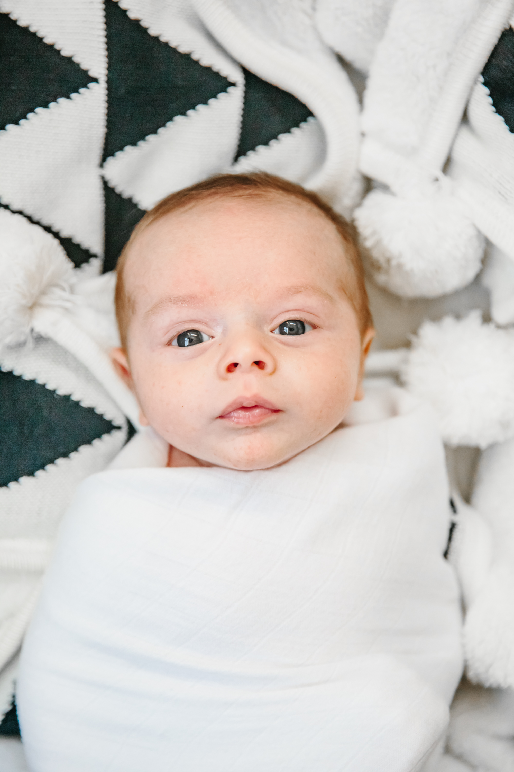 brooks horn newborn