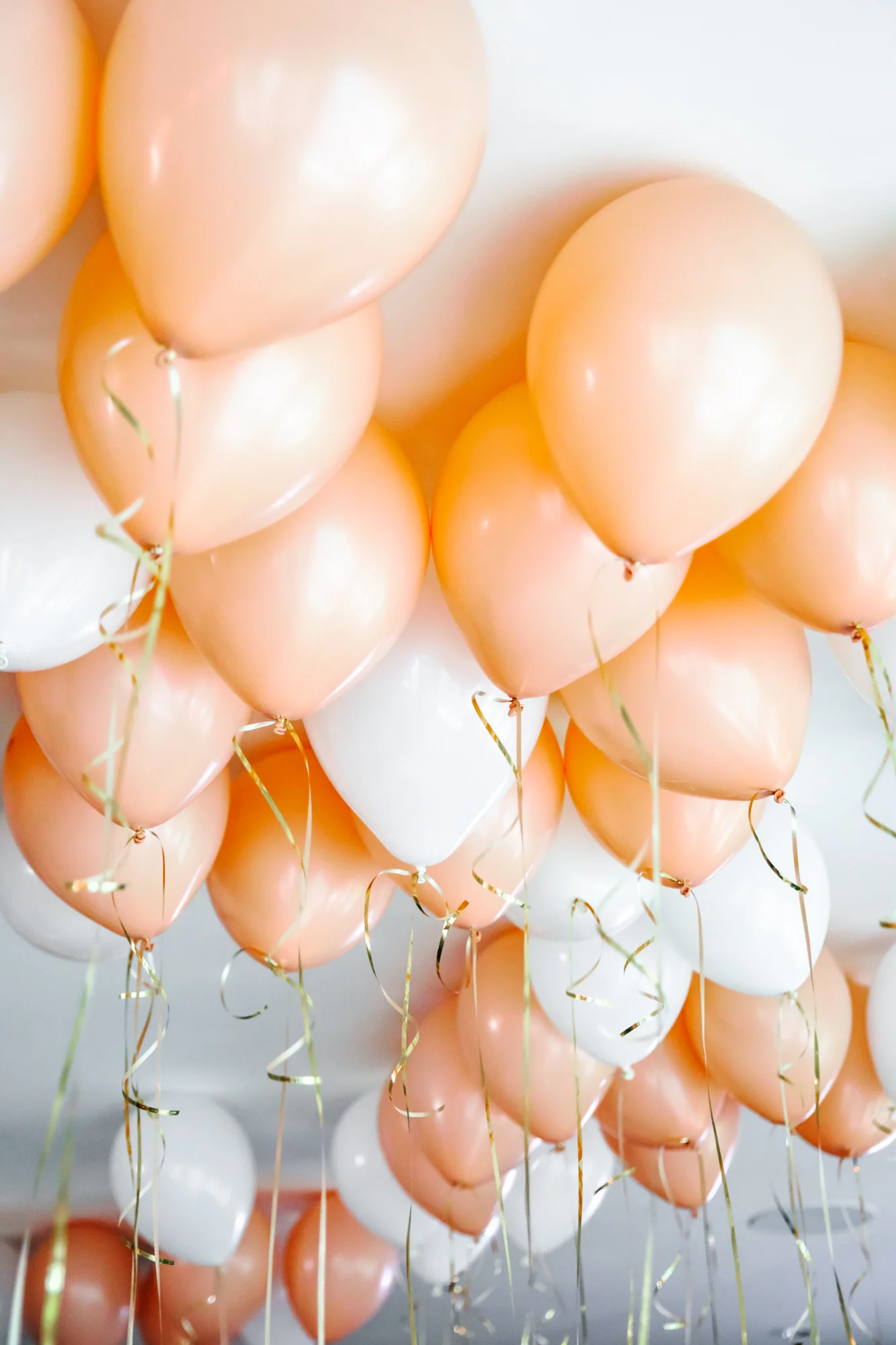 princess party 