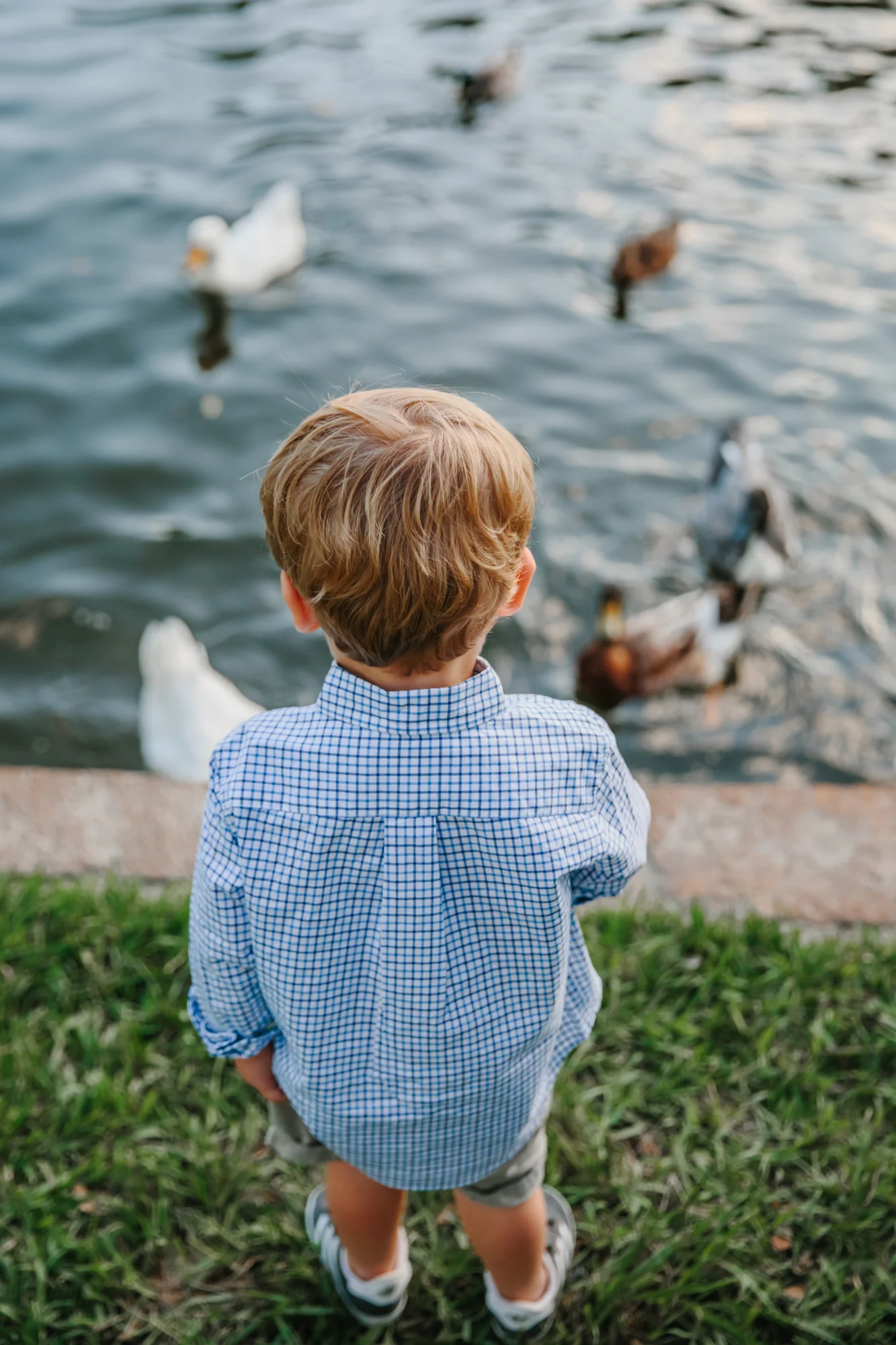 deweese family