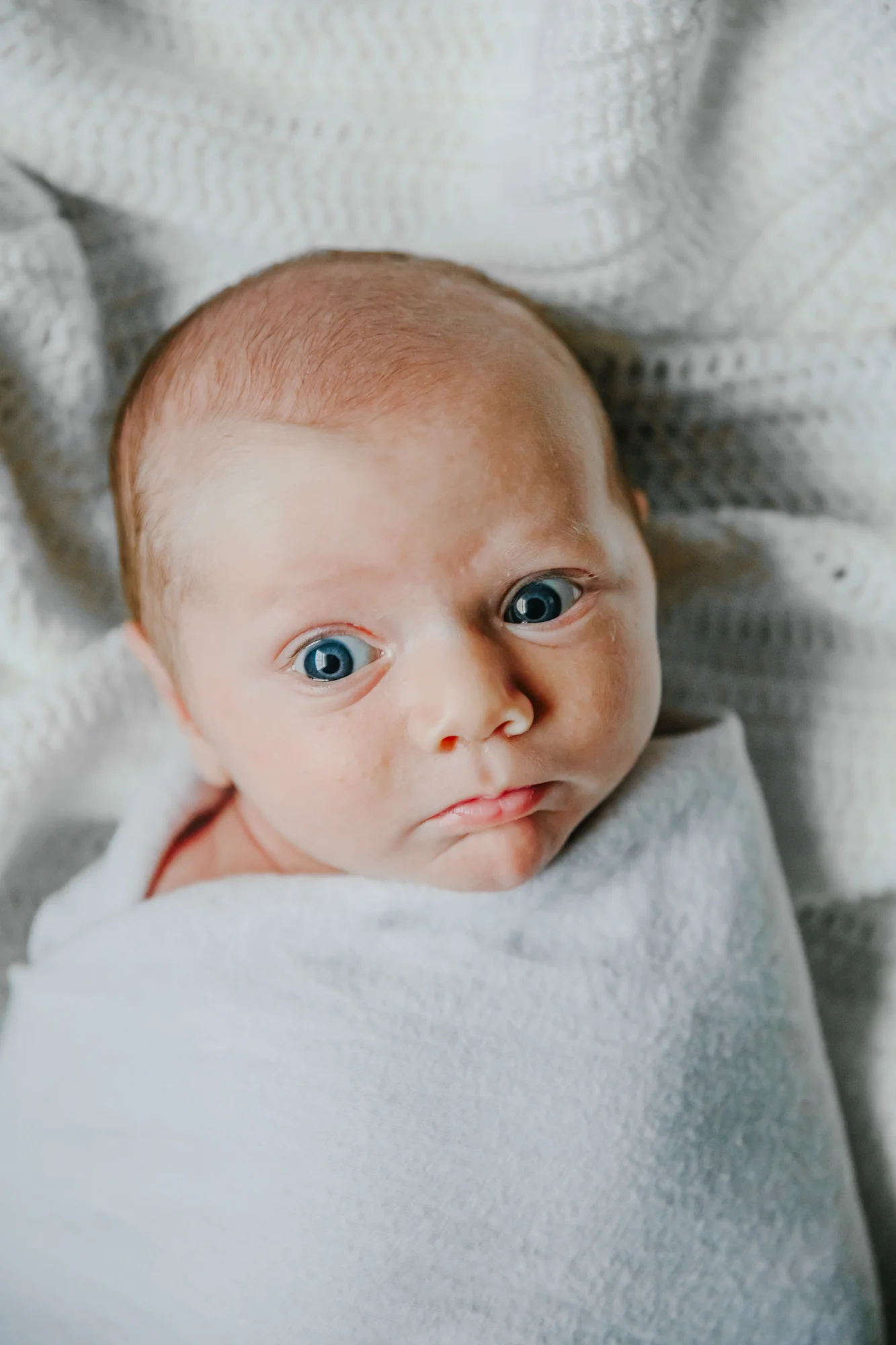 ben greeney newborn 