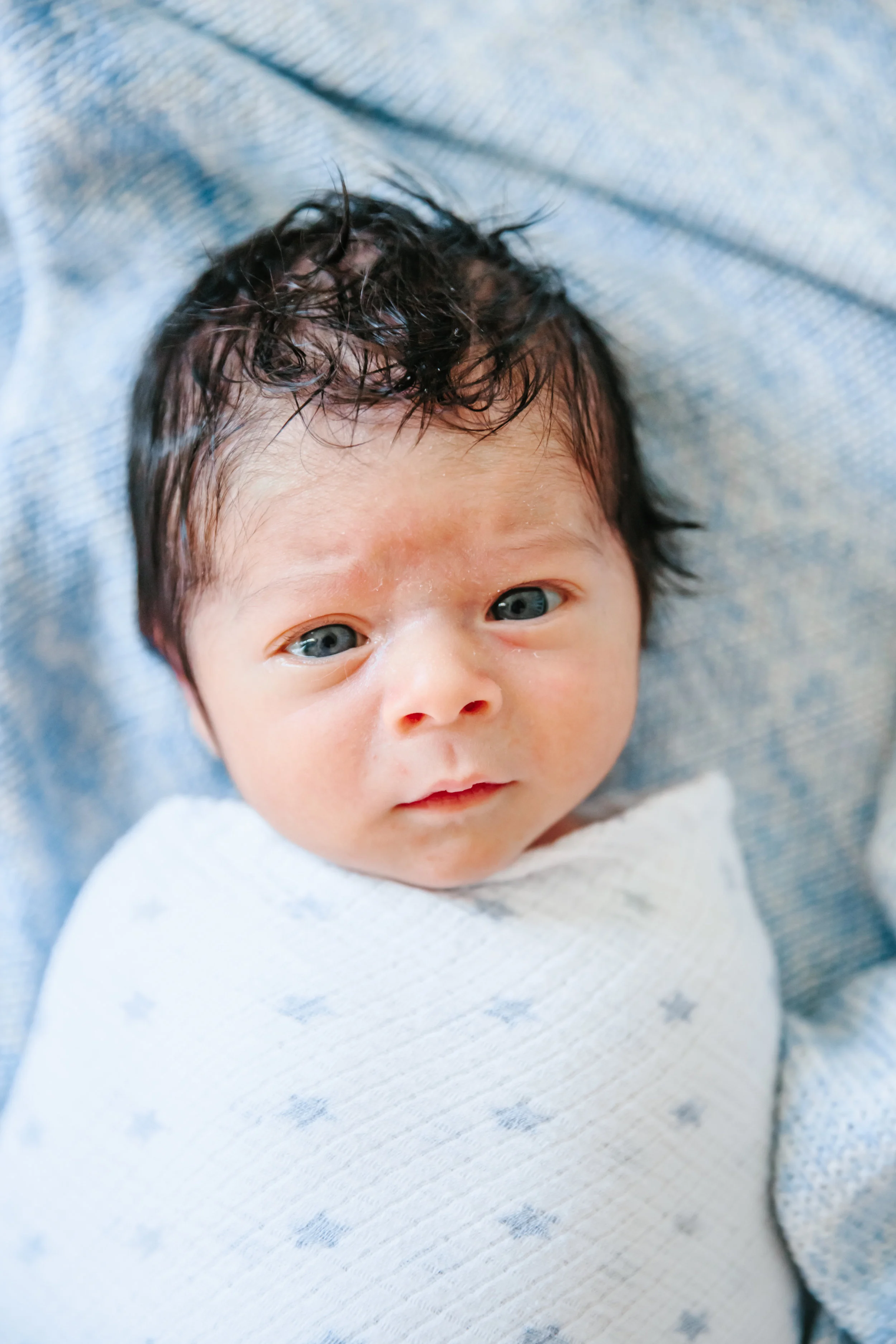 jackson taube newborn 