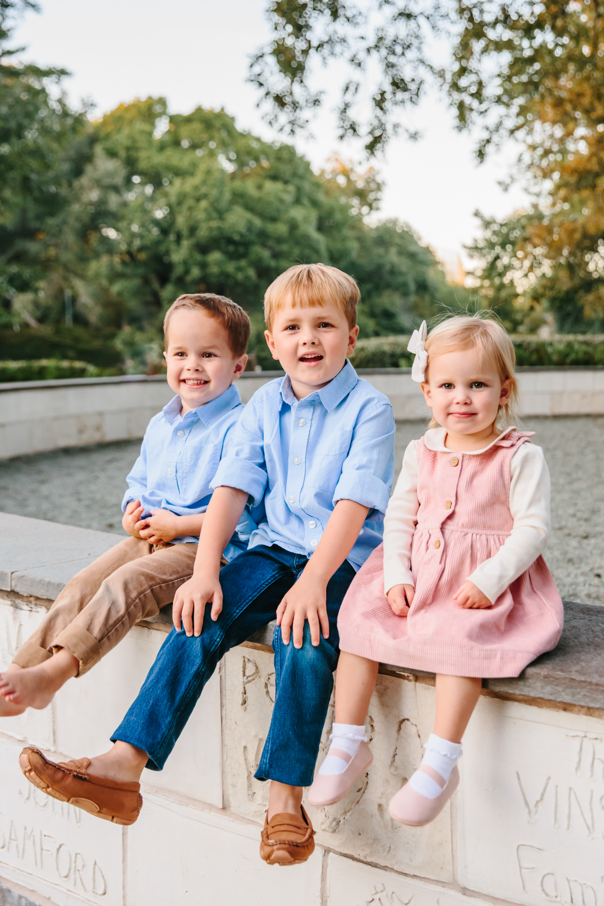 friedman family 