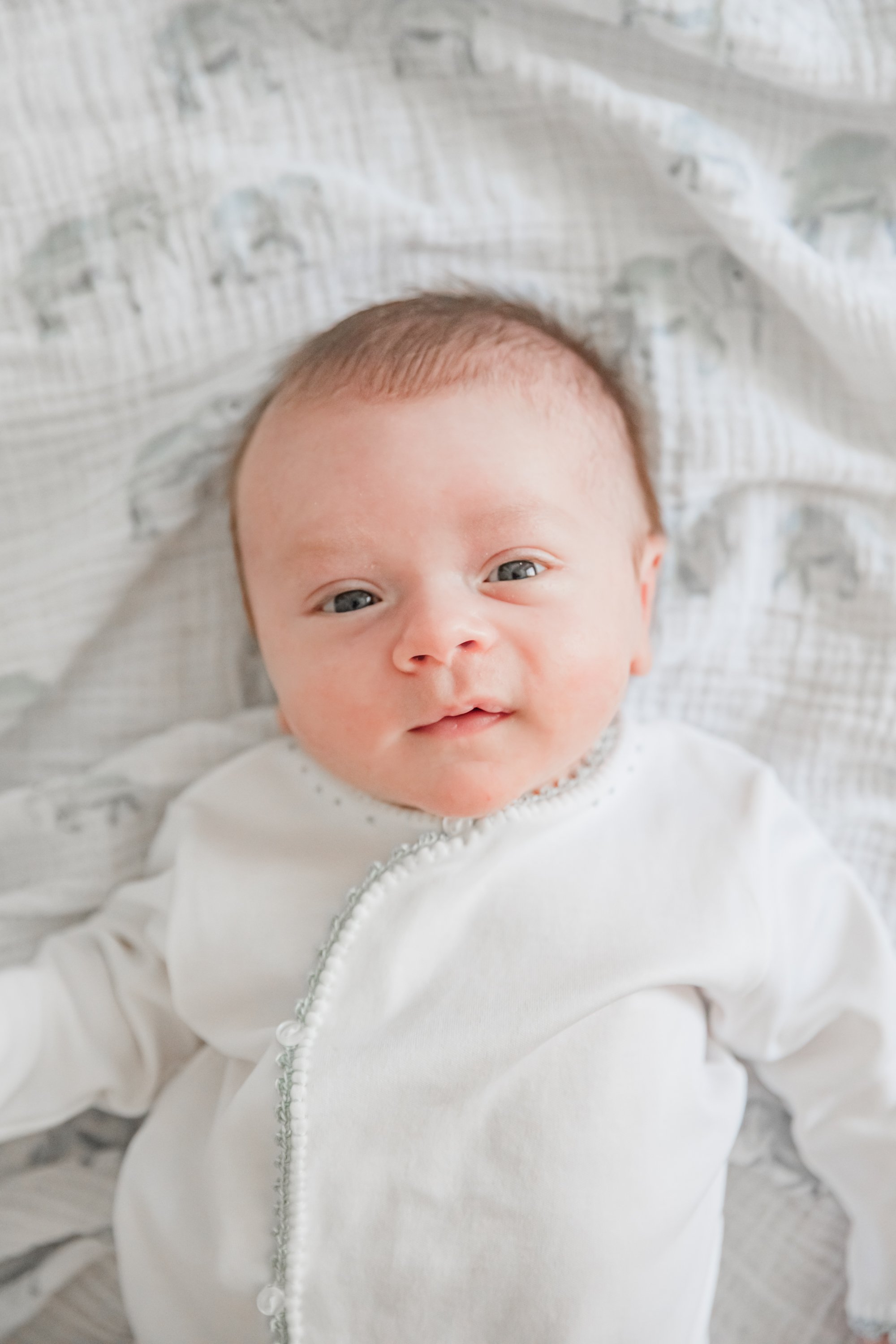 Jack Bankhead Newborn