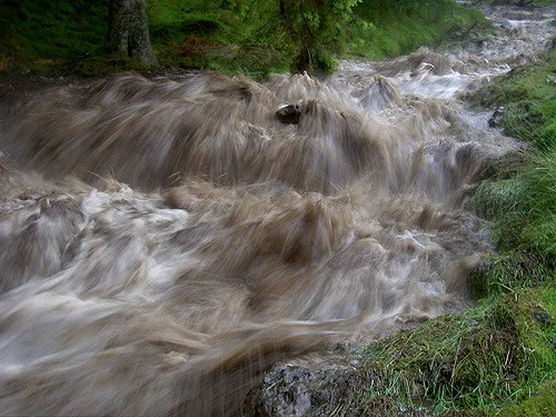 Blood And Water: Two Poems