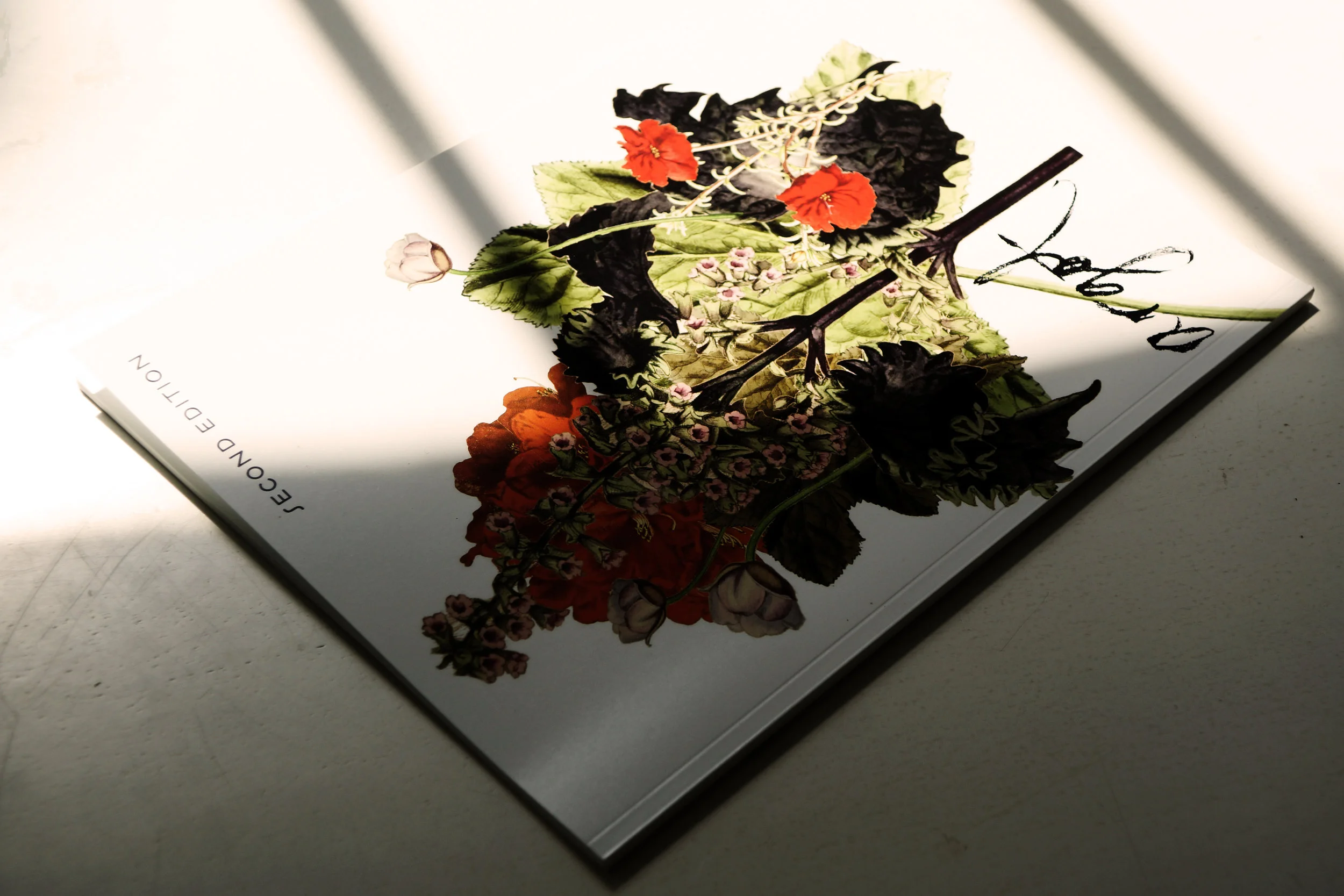 DSC01089-Edit copy.jpg