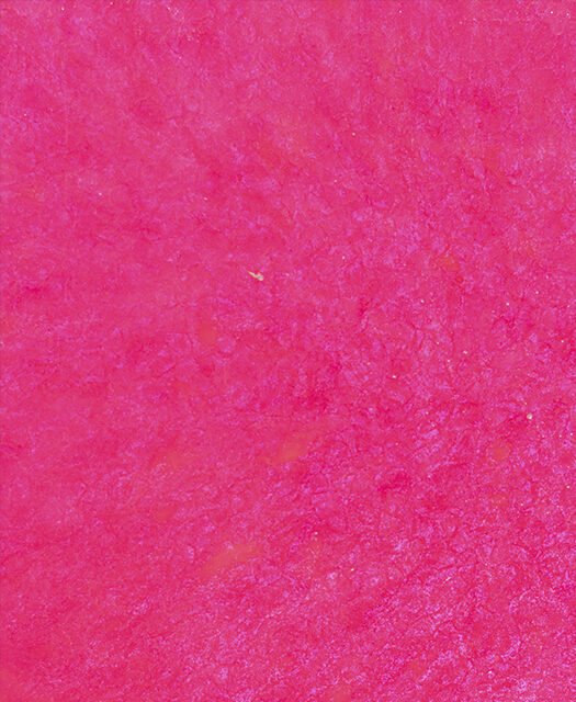 Translucent-Pink-525x640.jpg