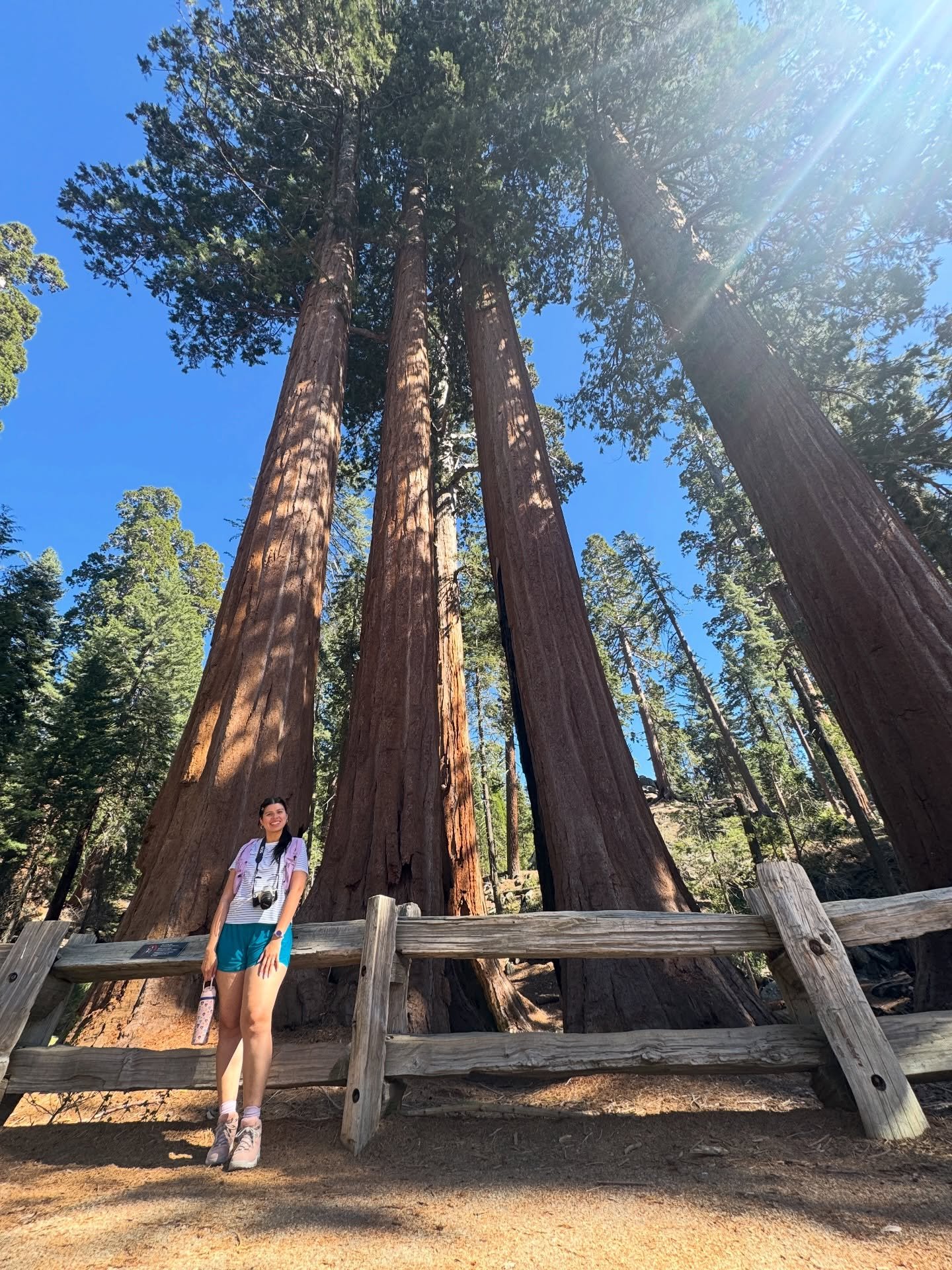 highly recommend spending time in nature with the person u love 🌲🌲🌲🌲
Sequoia &amp; Kings Canyon National Parks with @stevenkuerble and family 🦋
