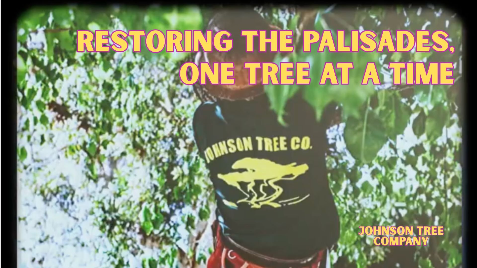 Braiding Hair to Fund Immigrant Families (1920 x 1080 px).jpg