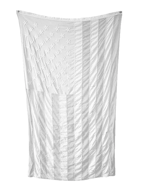 flag+reference+white+.jpg