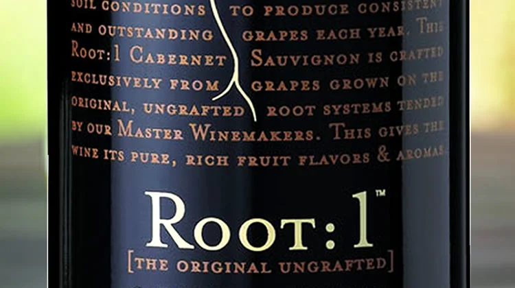 vinho_tinto_chile_root1_wine_marketing.jpg