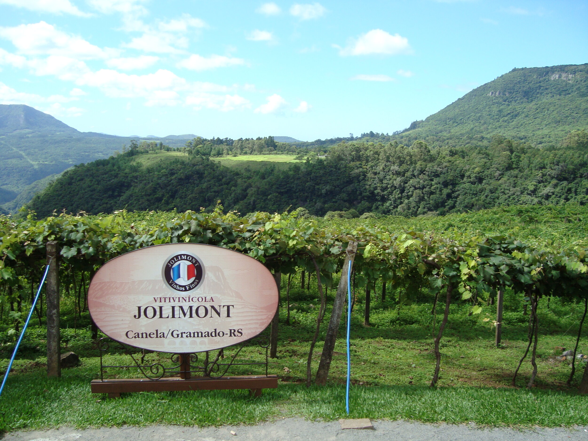  Situada no Morro do Calçado, em Canela (RS), a vinícola Jolimont apostou desde cedo no enoturismo, que hoje inclui inovações como um tour virtual (Crédito: Jolimont). 