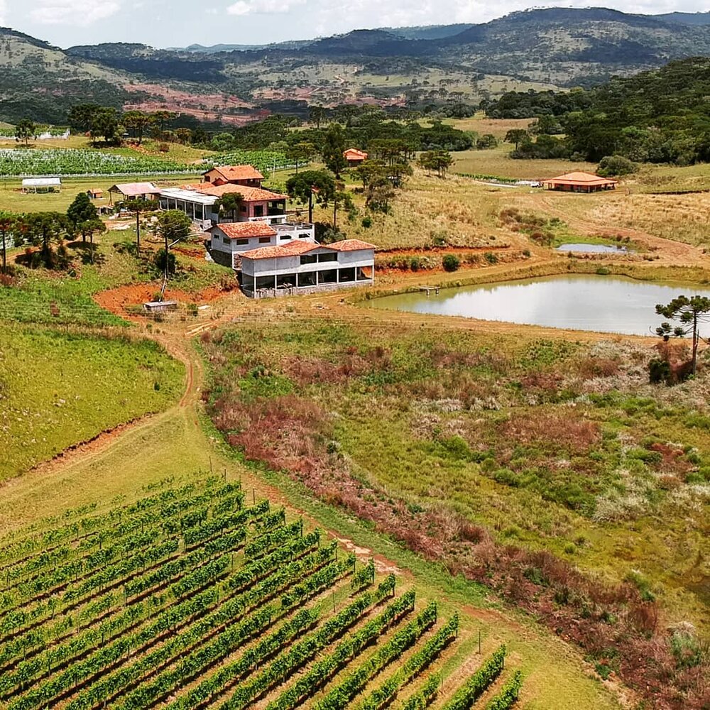  Em São Joaquim, Serra Catarinense (SC), a Villaggio Conti cultiva castas italianas nas altitudes brasileiras desde 2009 (Crédito: Villaggio Conti). 