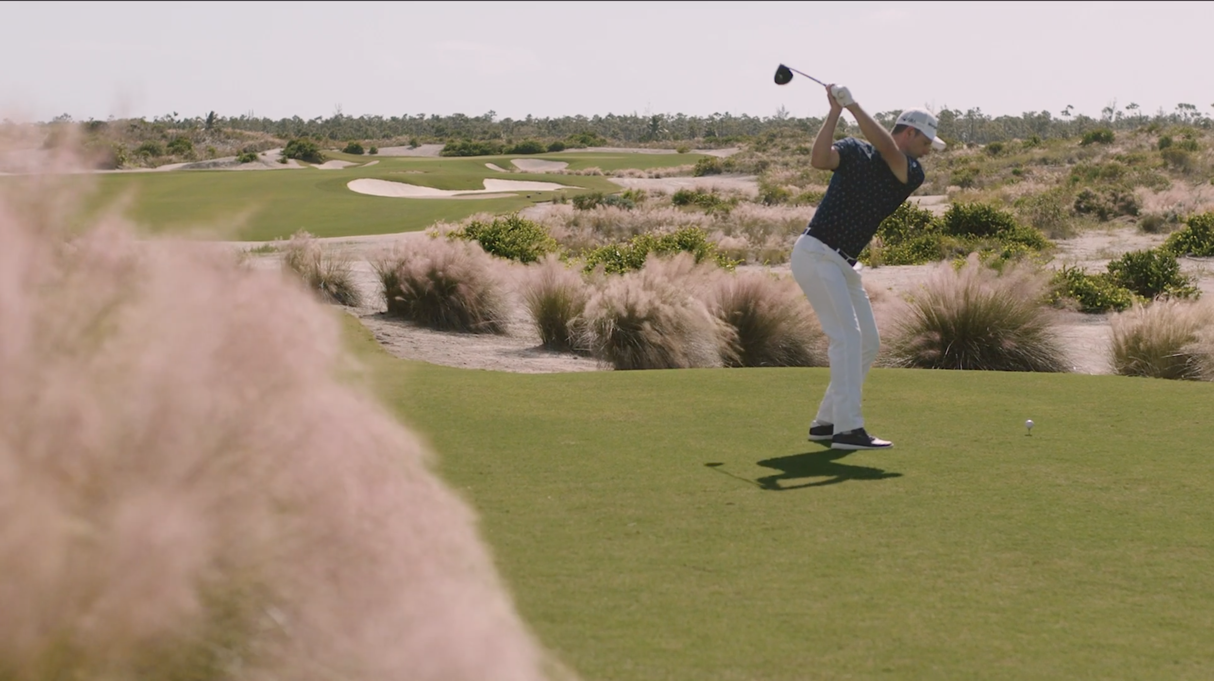 Screen Shot 2022-03-16 at 11.45.20 PM.png