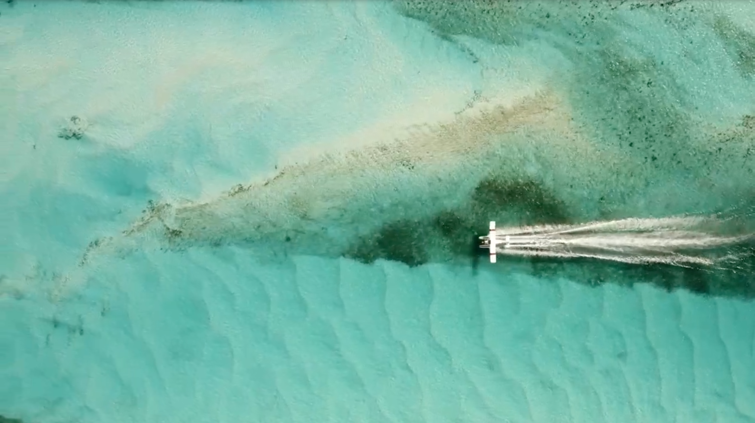 Screen Shot 2022-03-22 at 11.43.36 PM.png