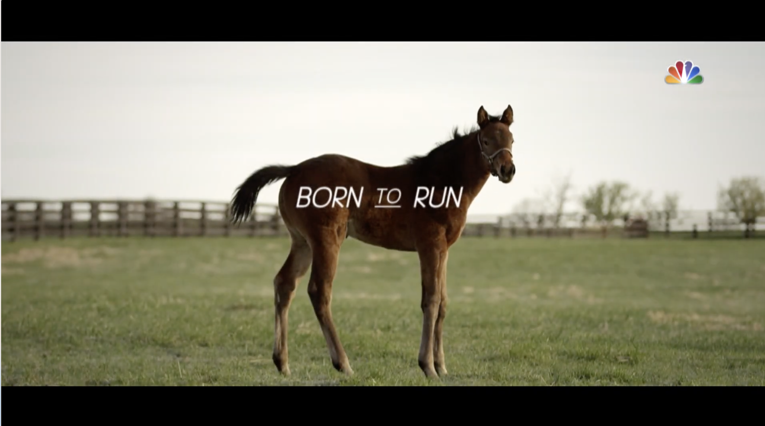 Born to Run 