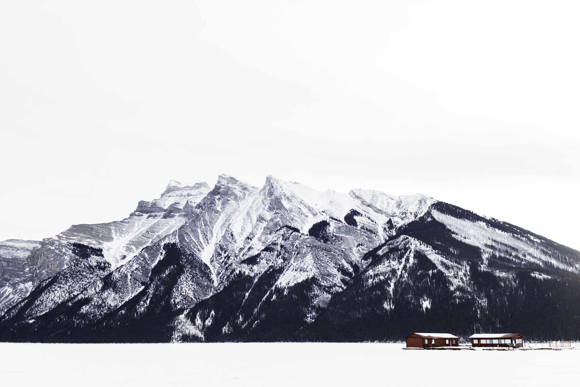 Ryan Kim / Personal Project