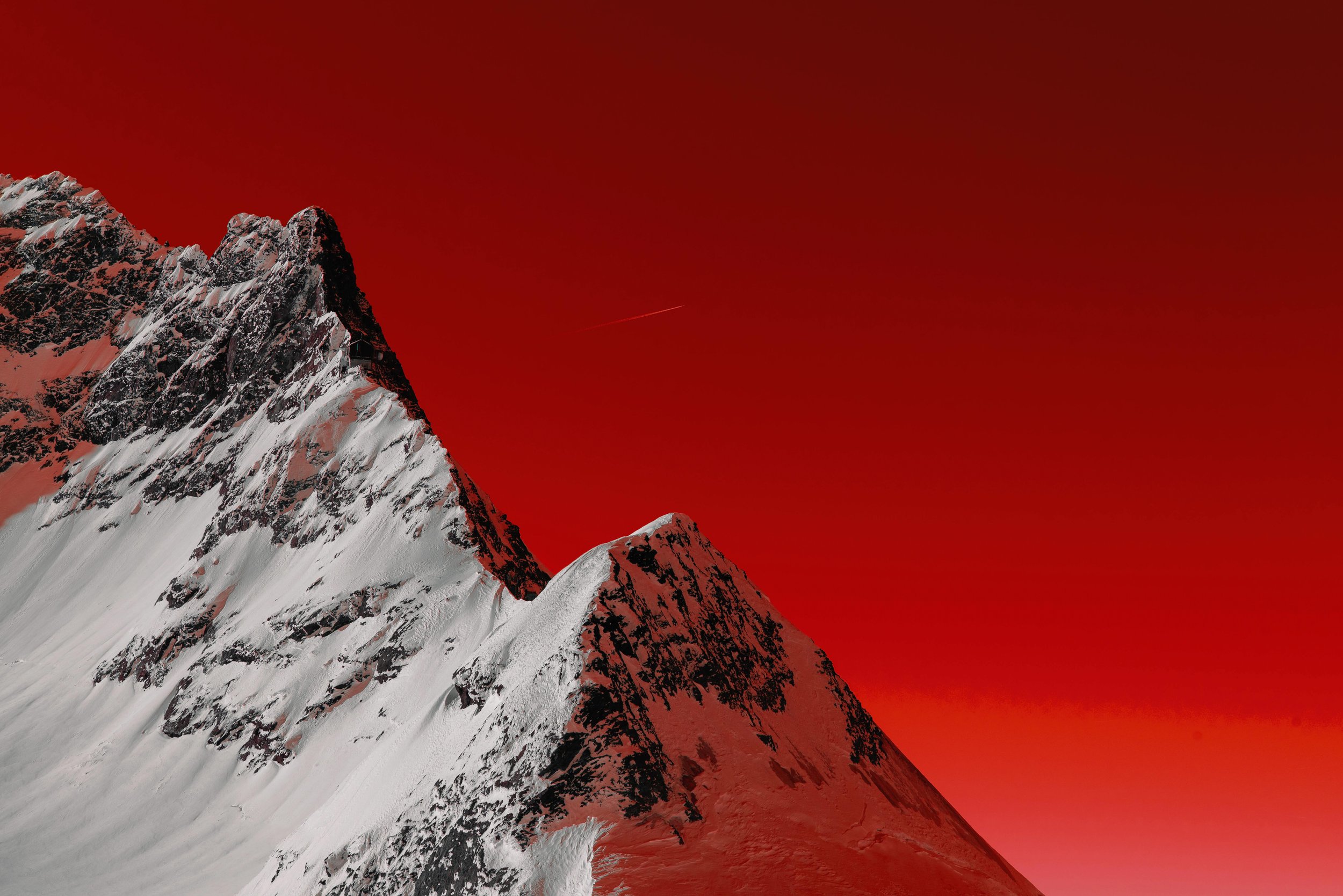 SiYoon Kim– Personal Project– Term 1