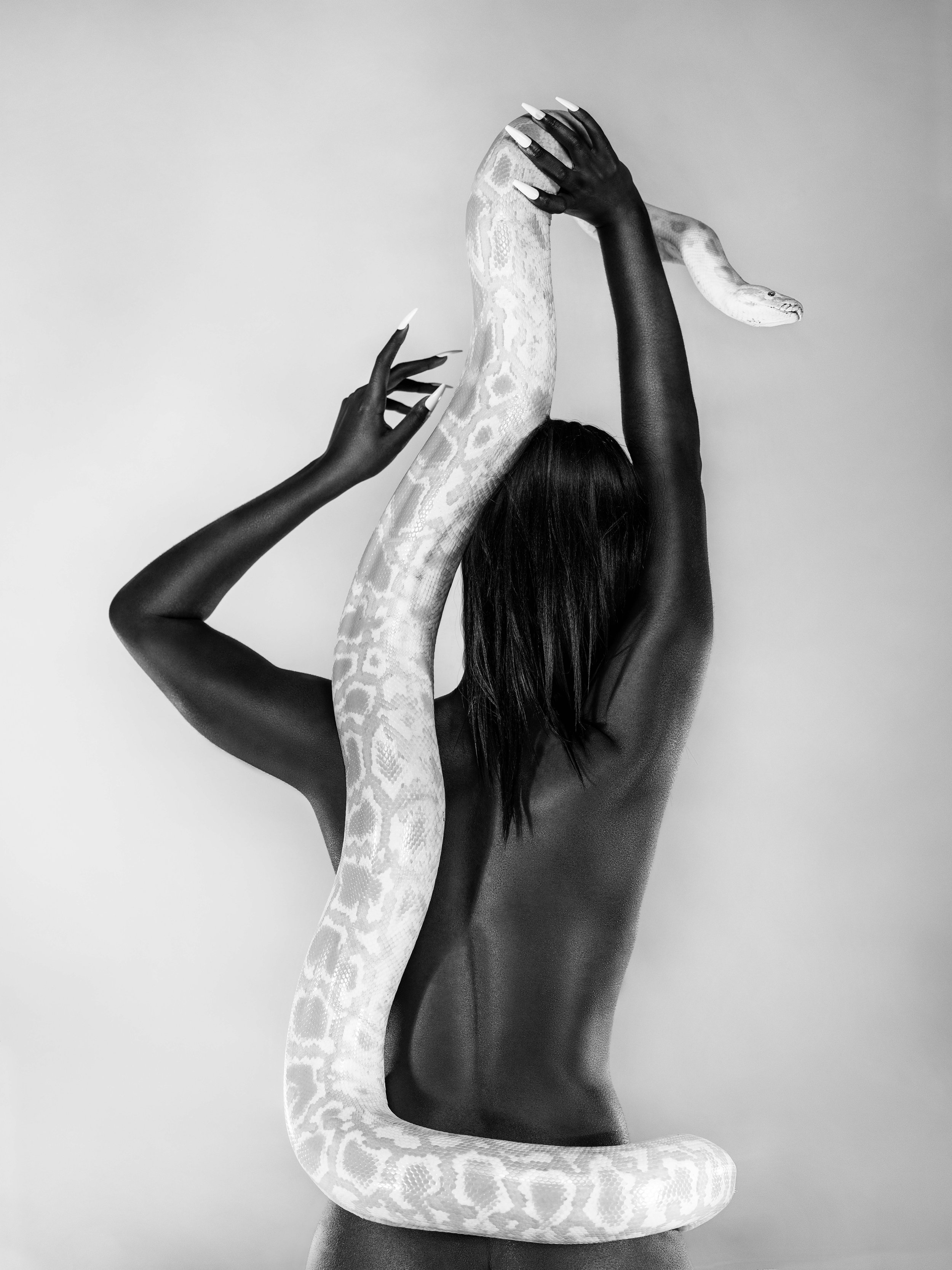 Sophia Carrasco– Fine Art Photography– Term 4