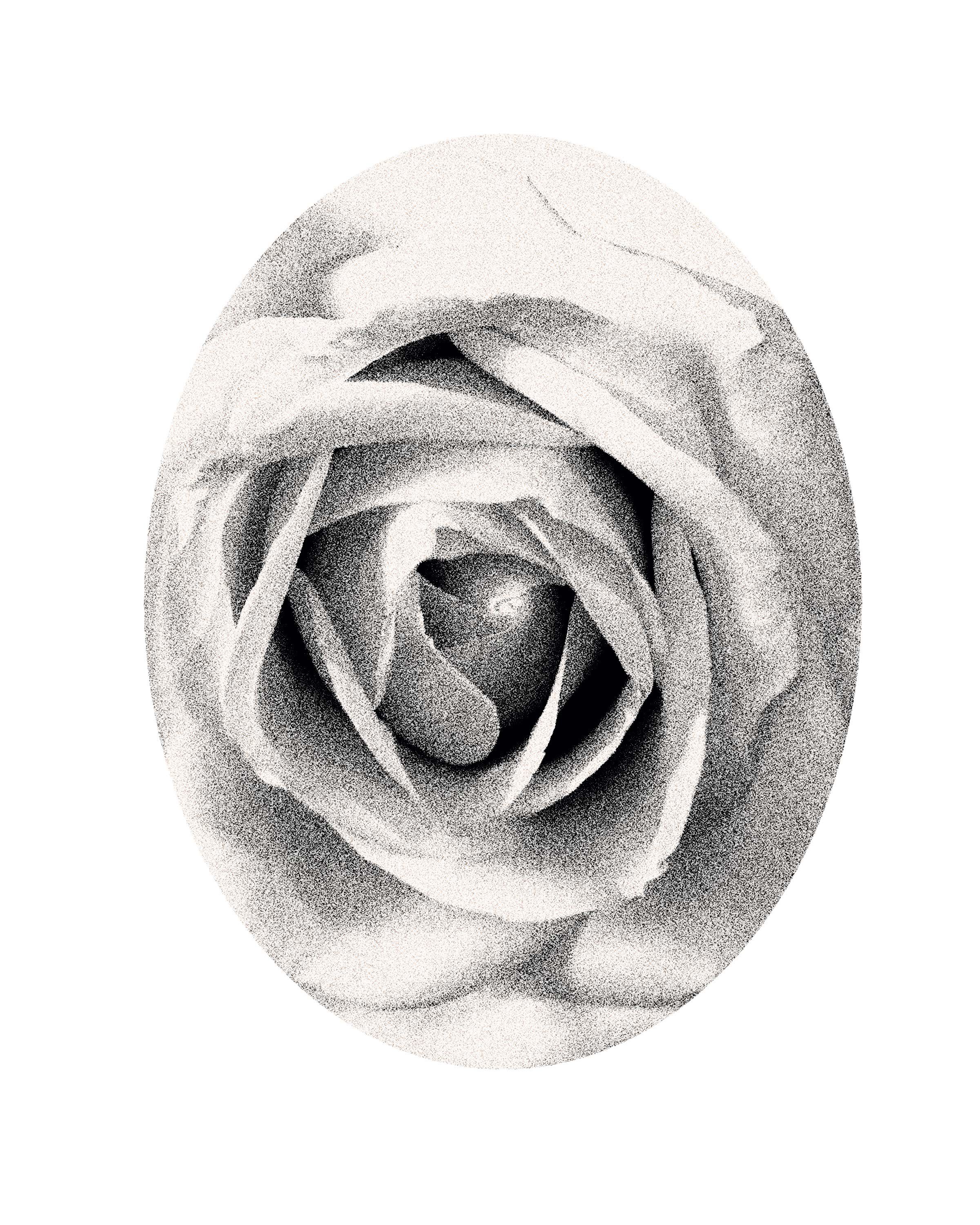 Sihyun Kim– Fine Art Photography– Term 3