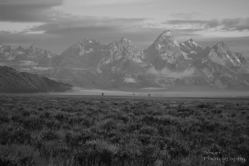 DSC_L4924.jpg