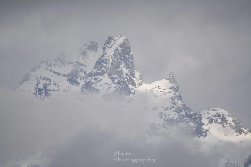 DSC_L6574.jpg