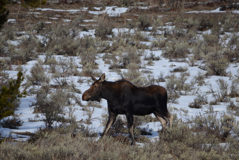 DSC_5753.jpg