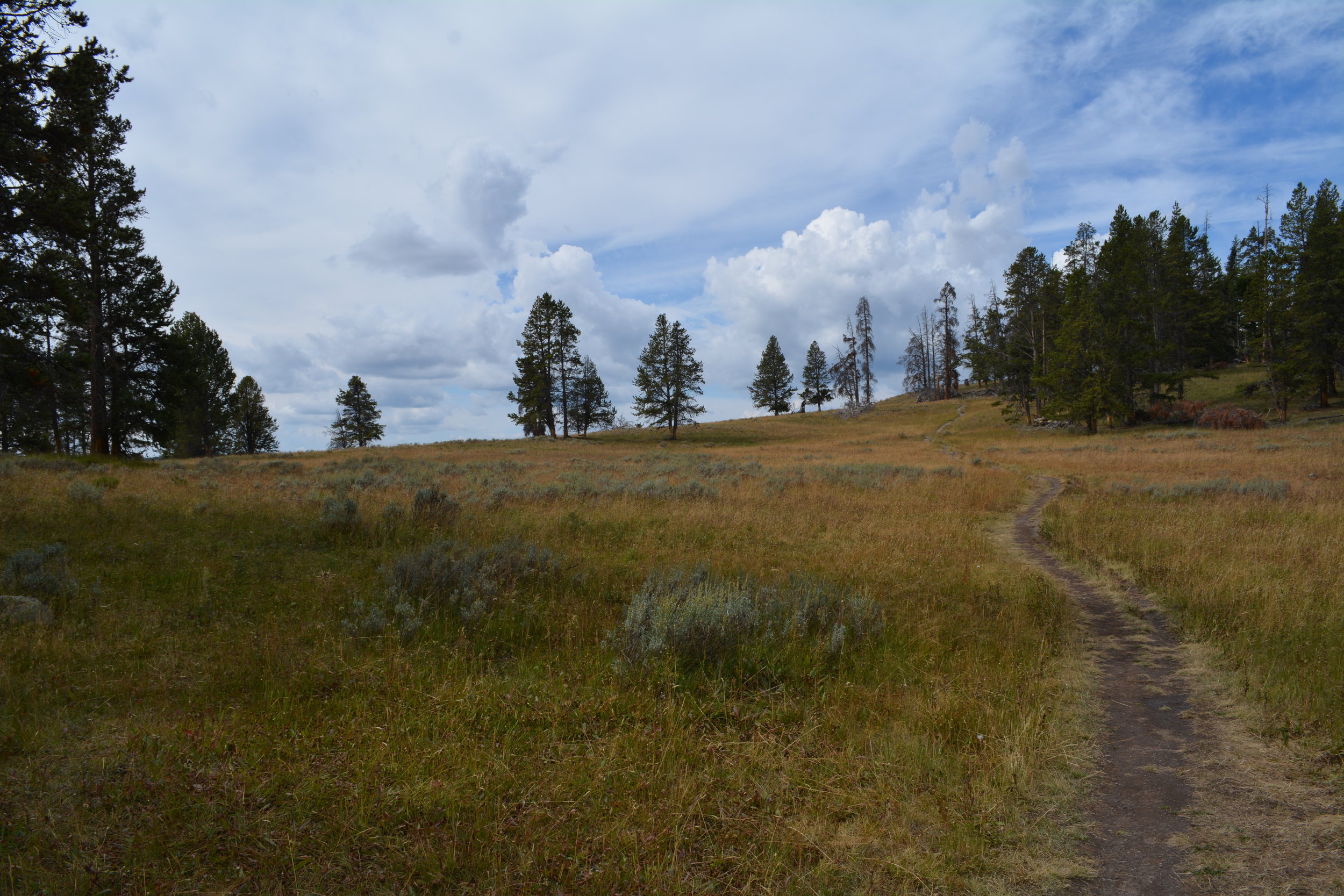 DSC_0579.jpg
