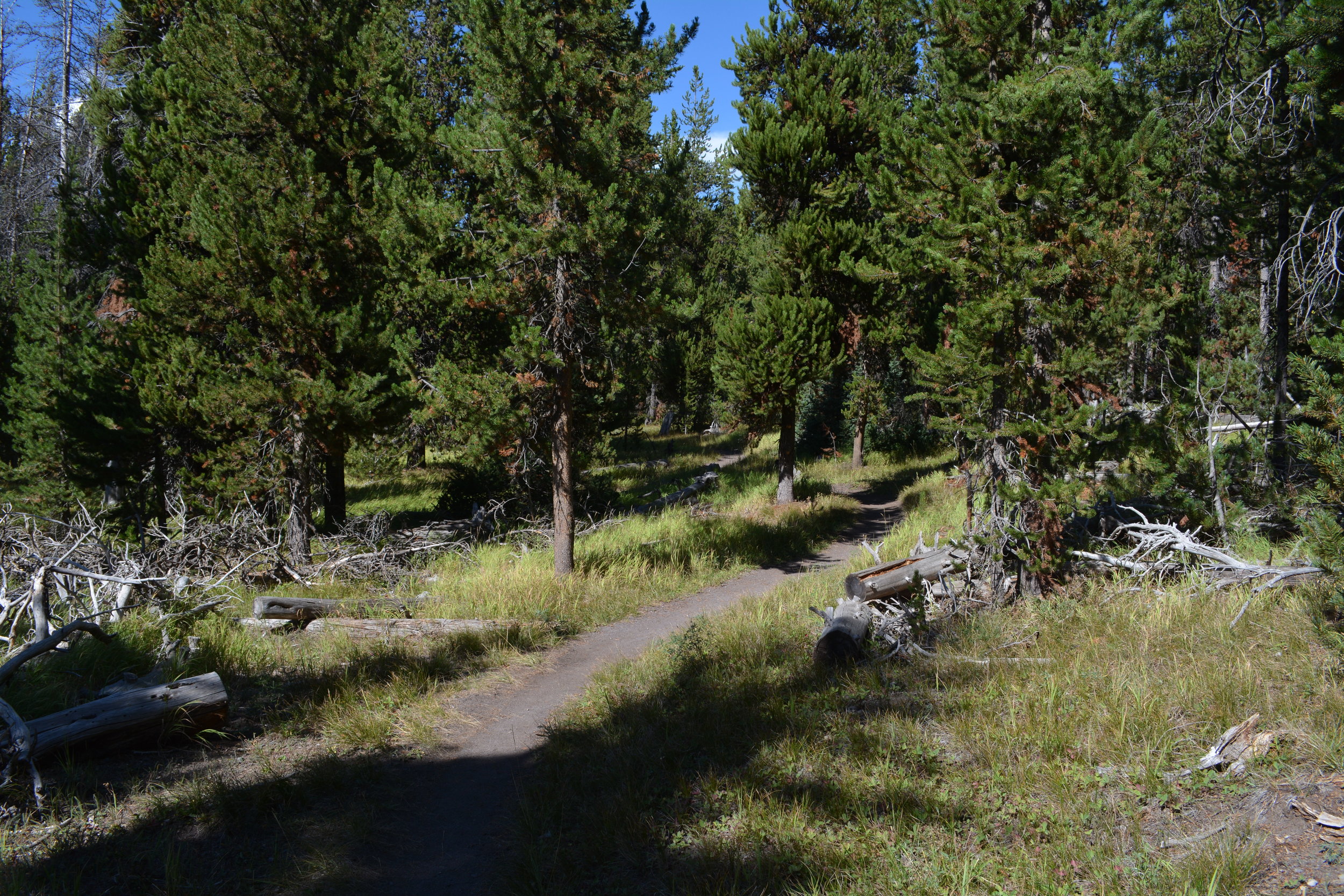 DSC_1622.jpg