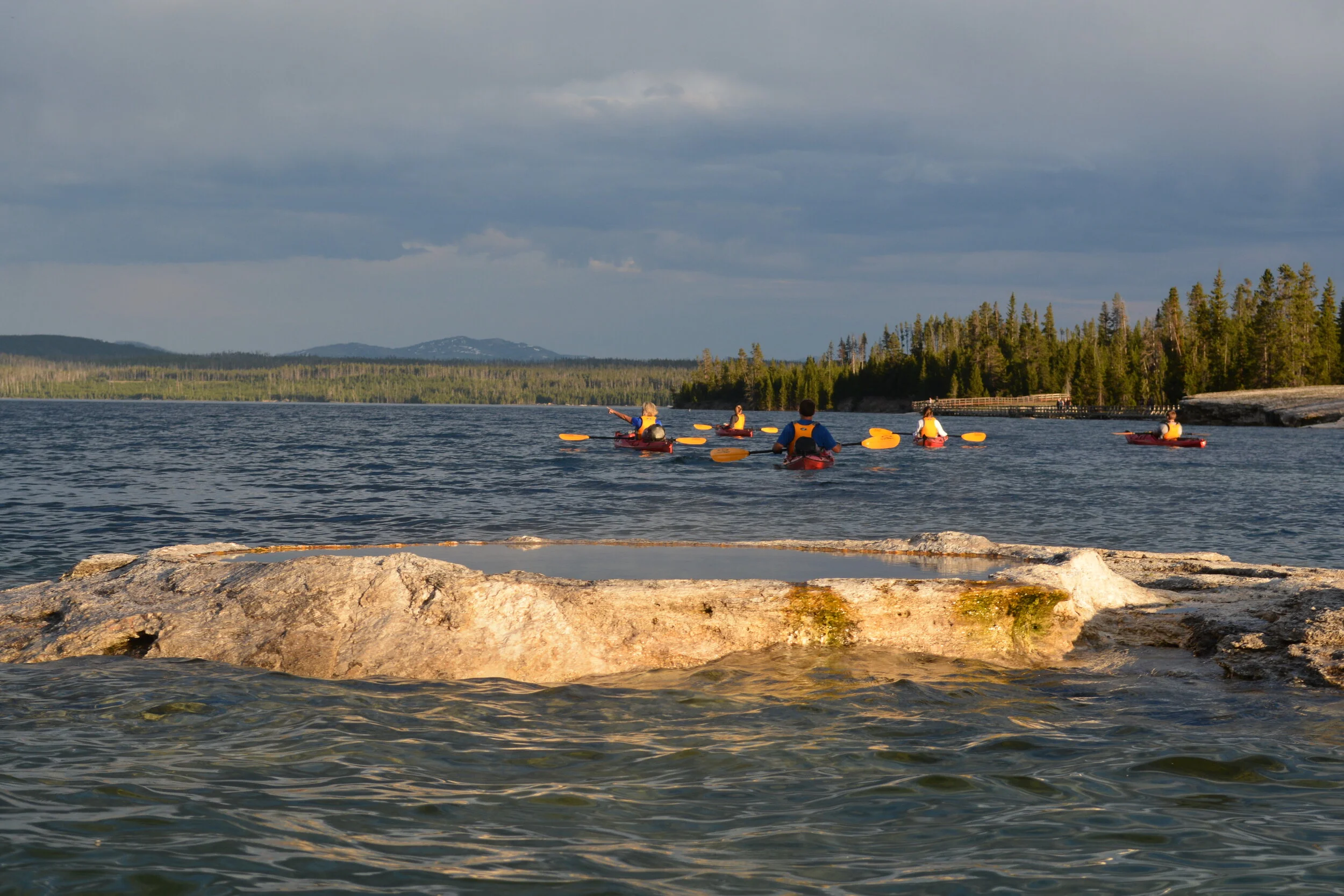 DSC_2590.jpg